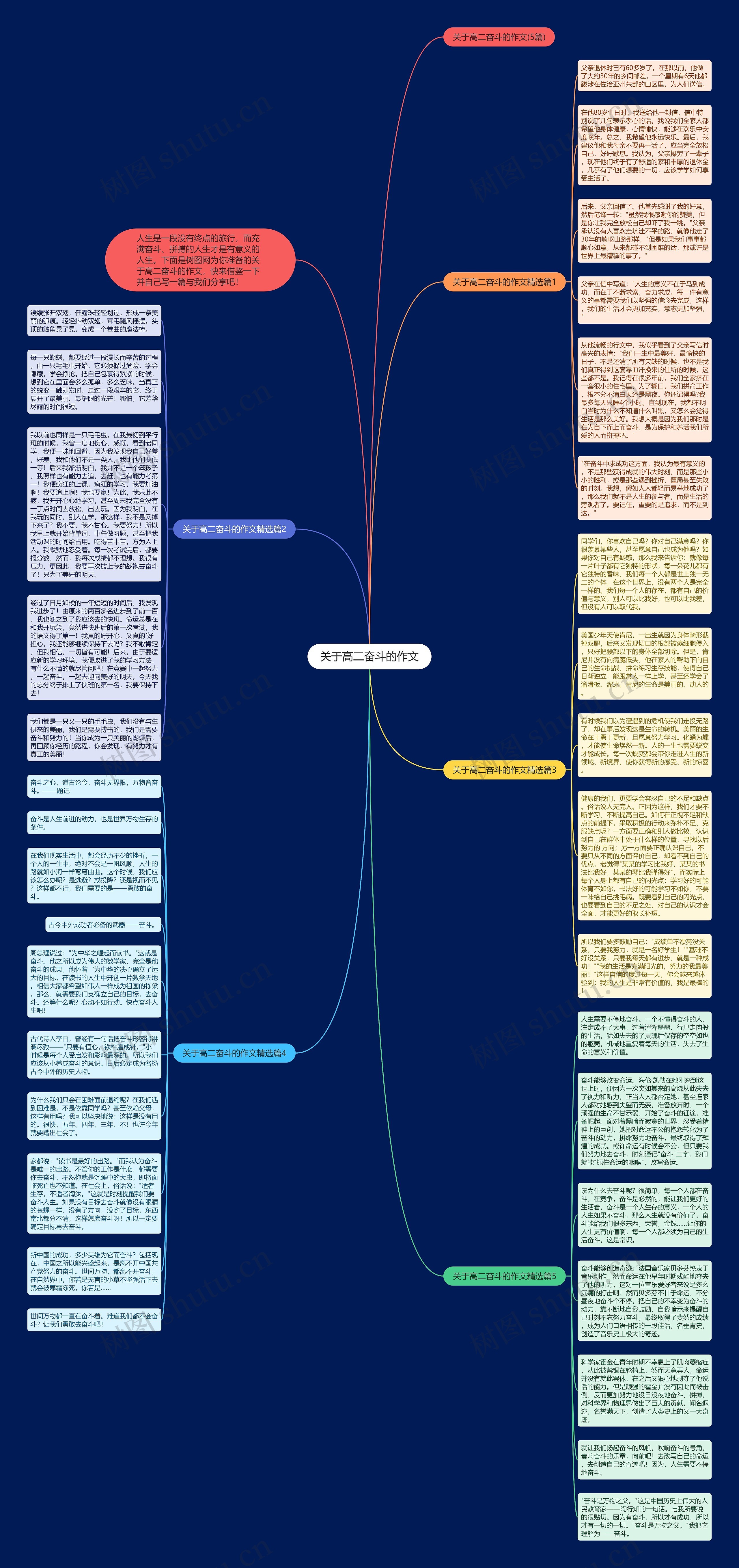 关于高二奋斗的作文思维导图
