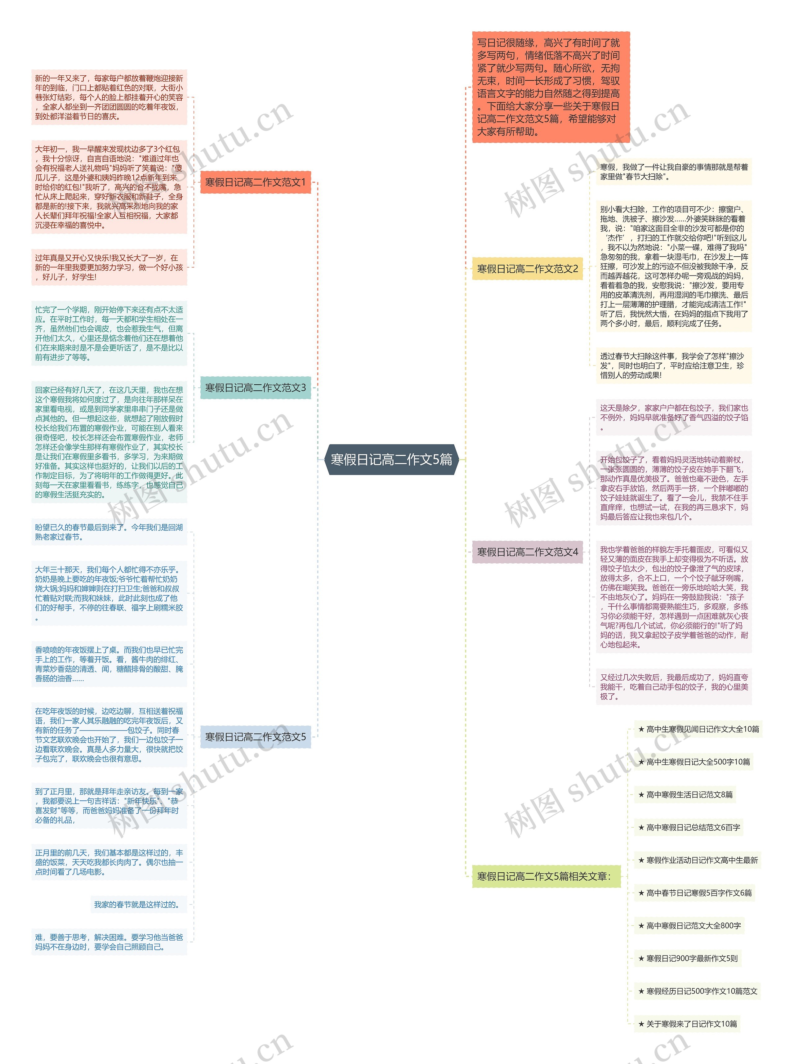 寒假日记高二作文5篇思维导图