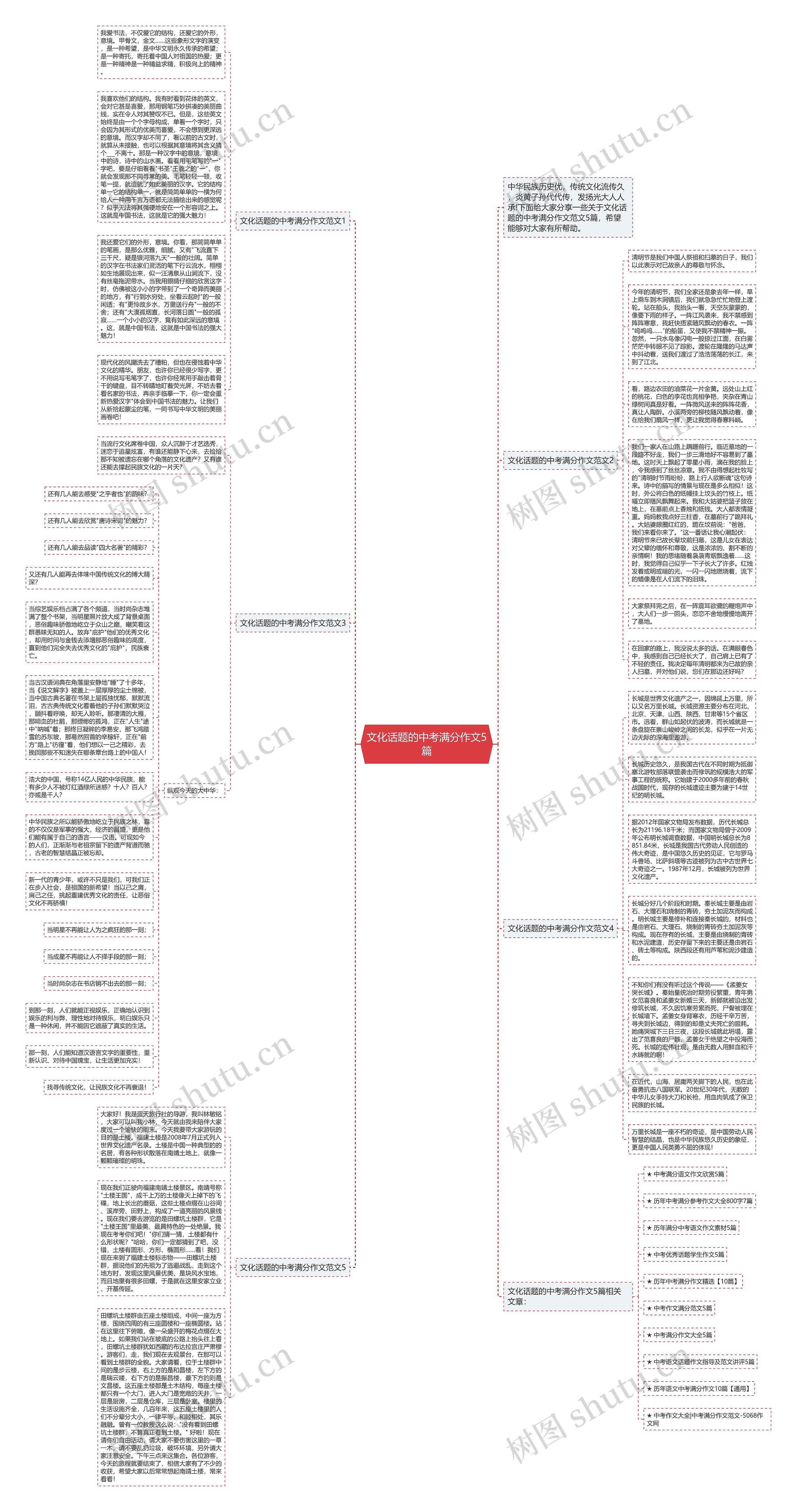 文化话题的中考满分作文5篇思维导图