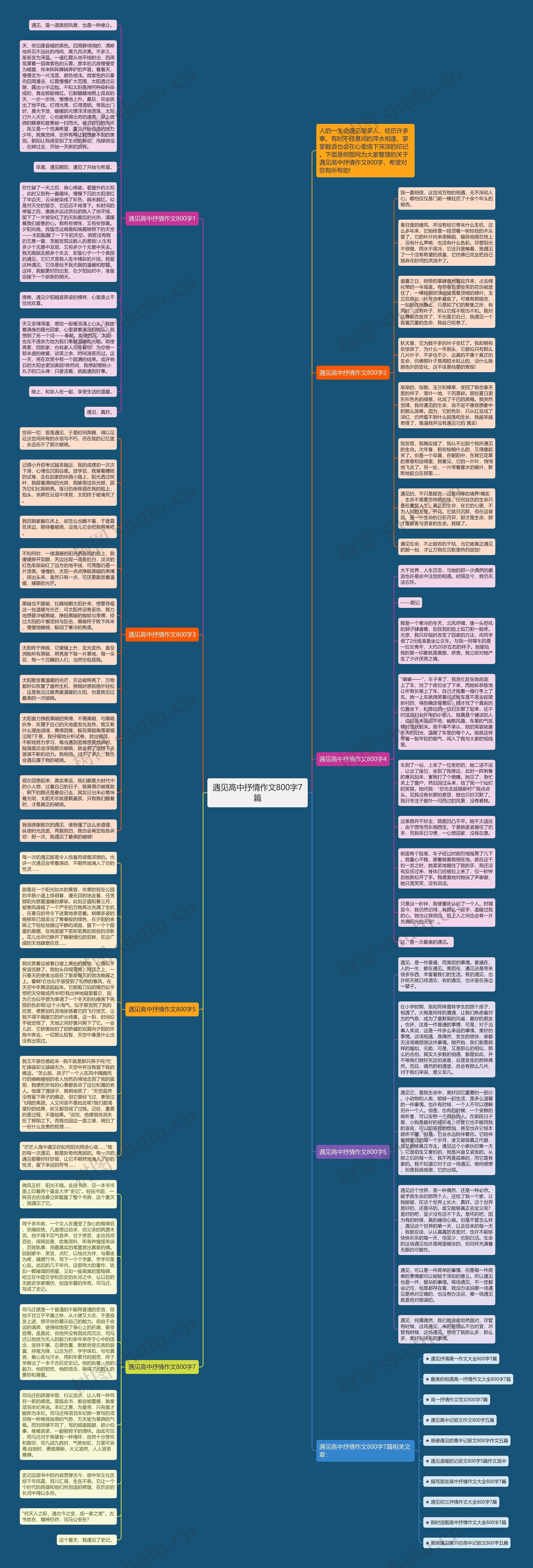 遇见高中抒情作文800字7篇思维导图