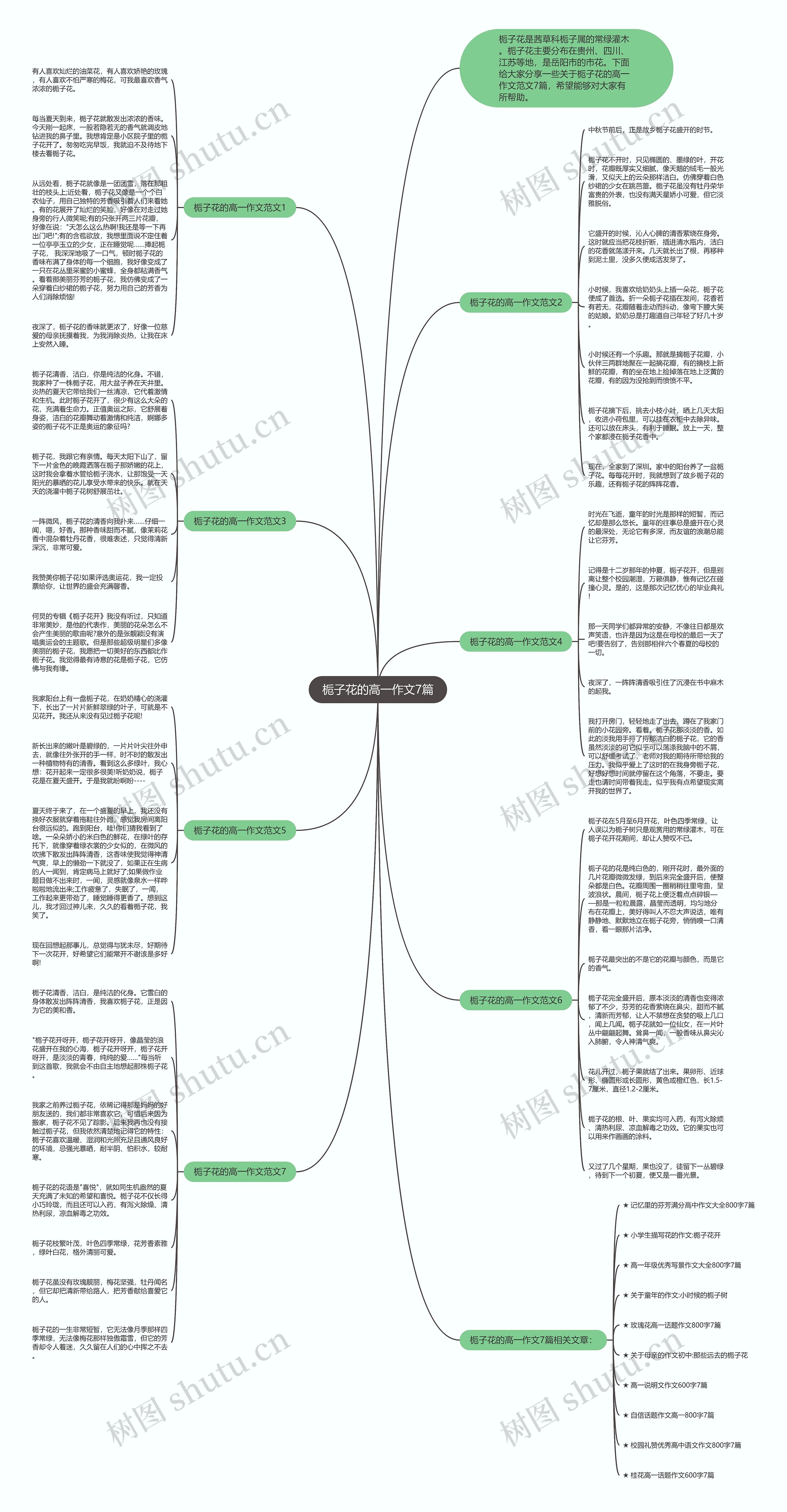 栀子花的高一作文7篇思维导图