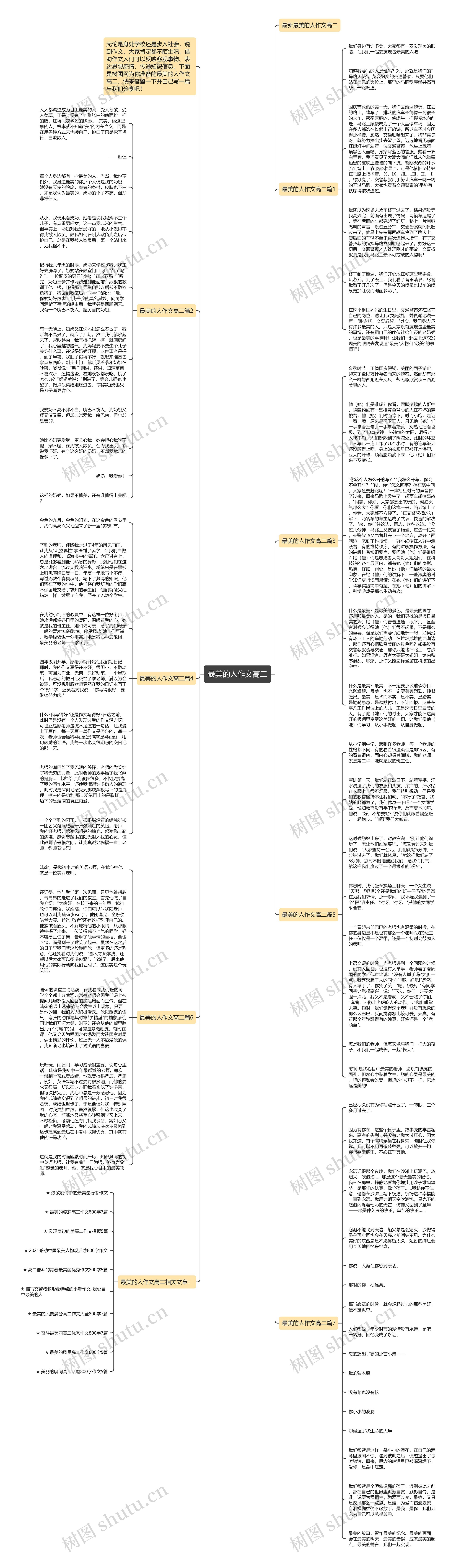 最美的人作文高二思维导图