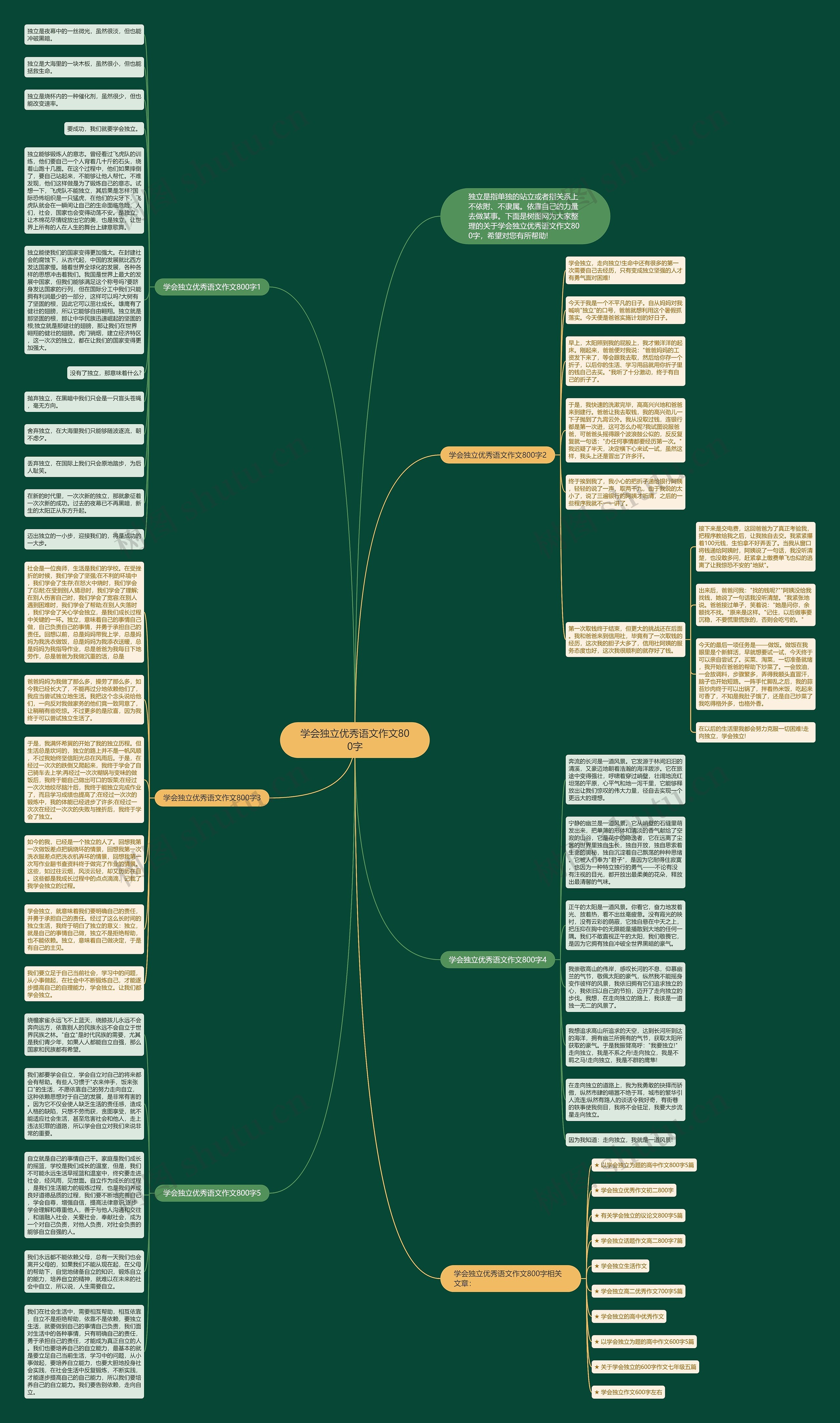 学会独立优秀语文作文800字思维导图