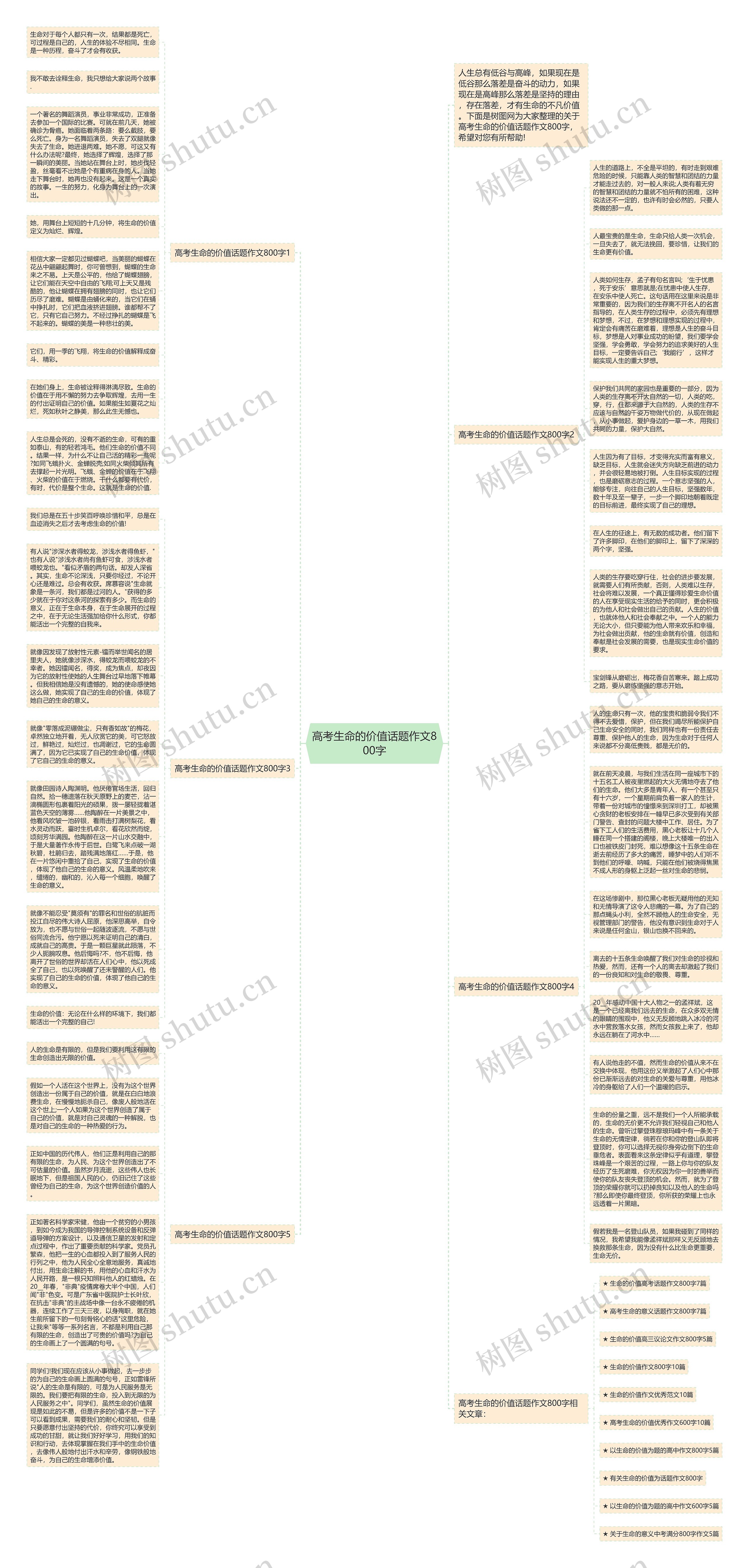 高考生命的价值话题作文800字思维导图