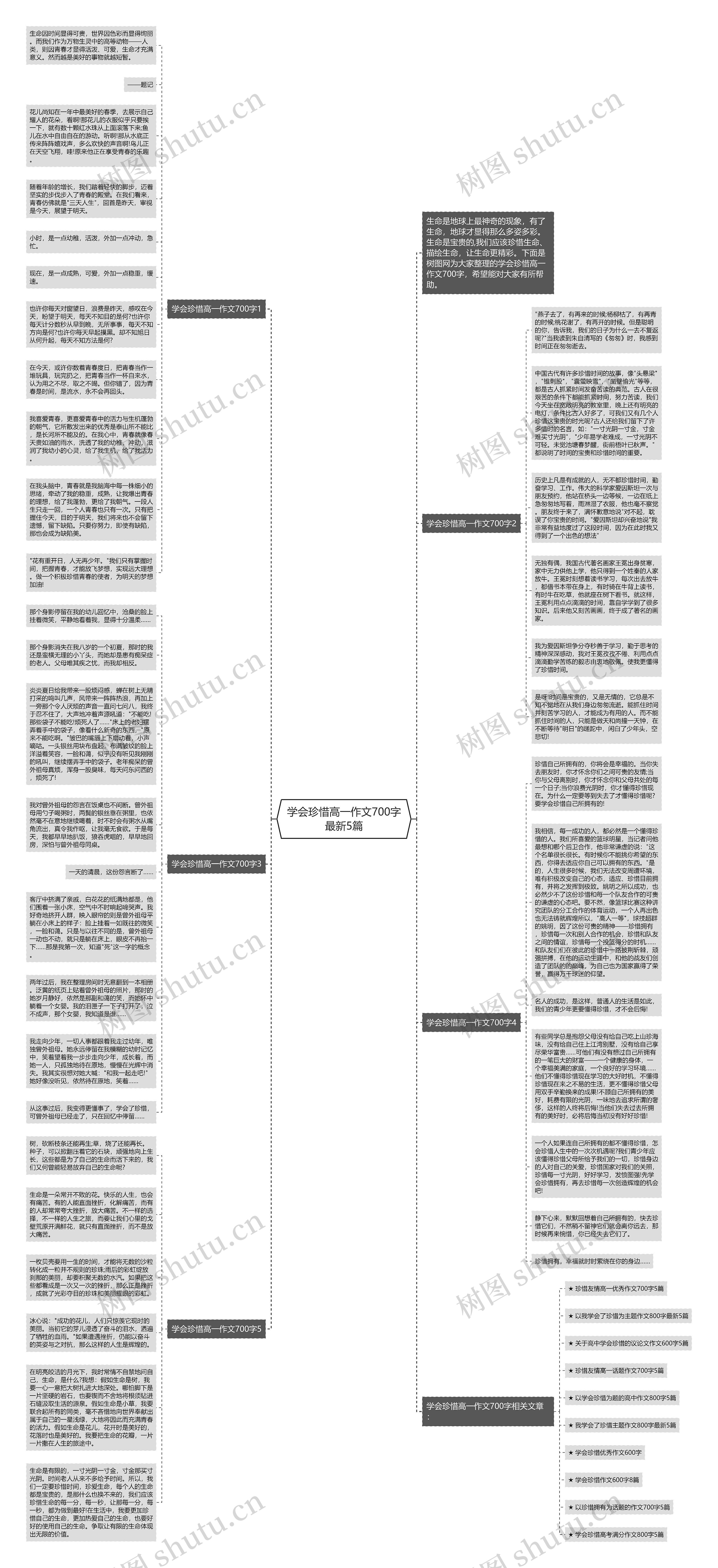 学会珍惜高一作文700字最新5篇