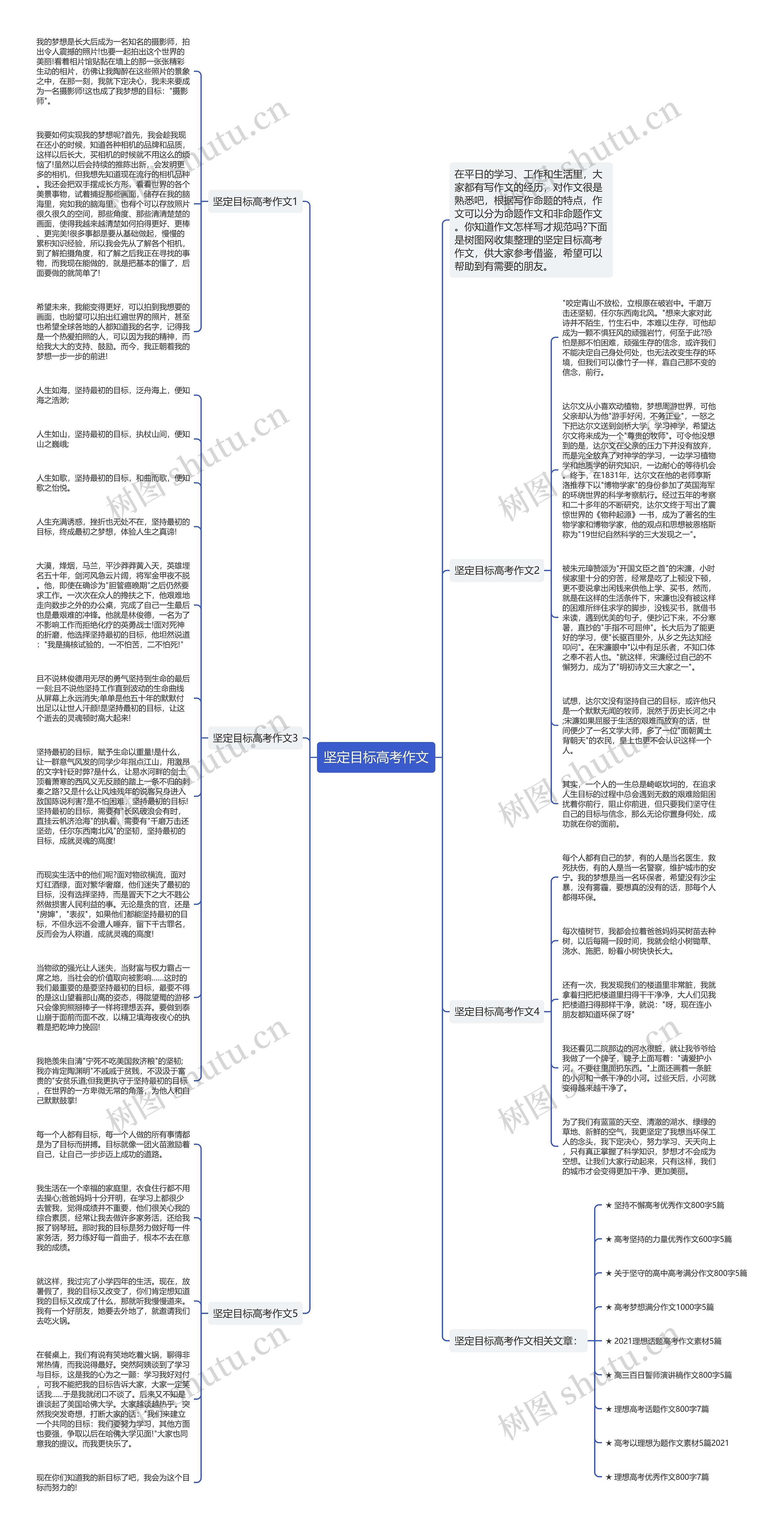 坚定目标高考作文思维导图