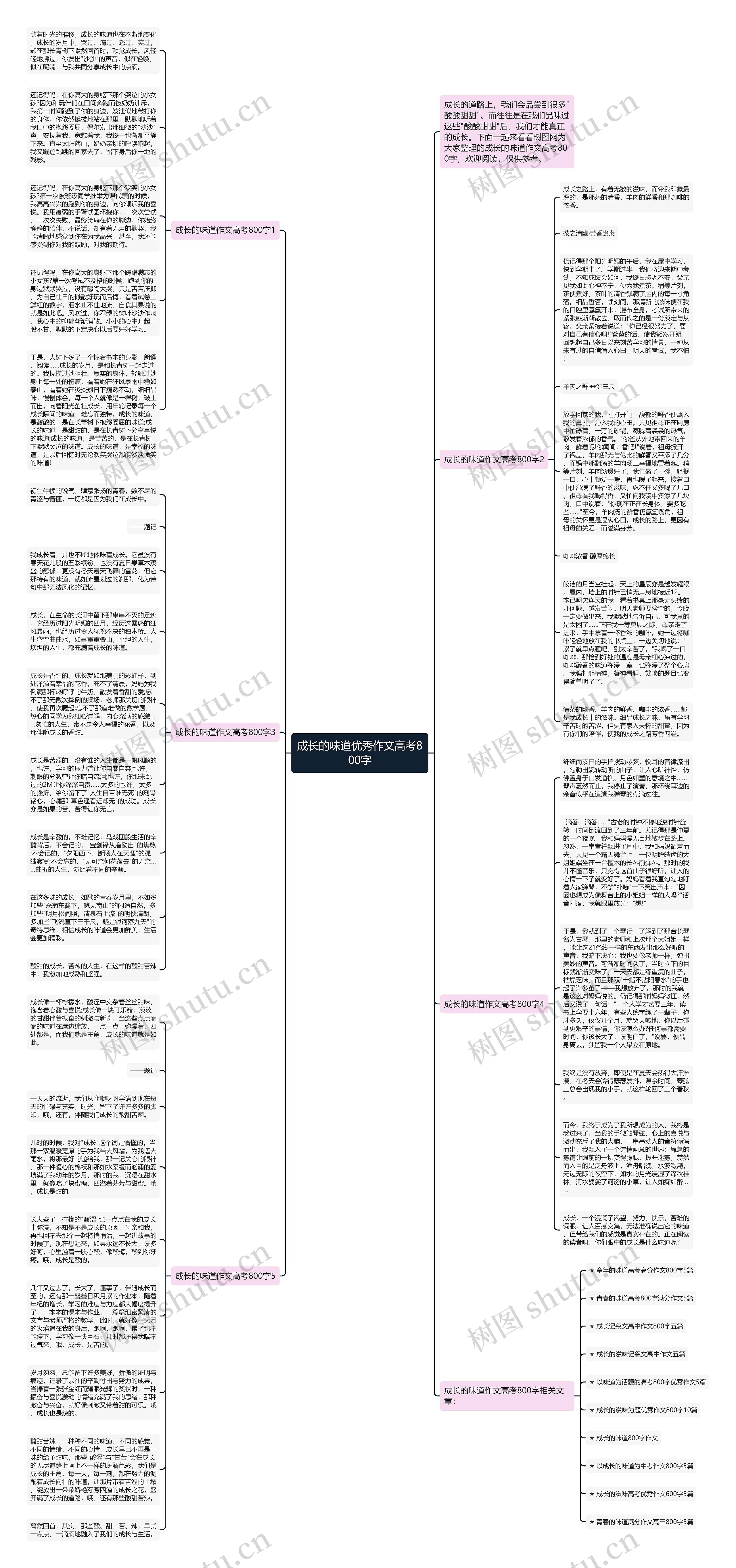 成长的味道优秀作文高考800字思维导图