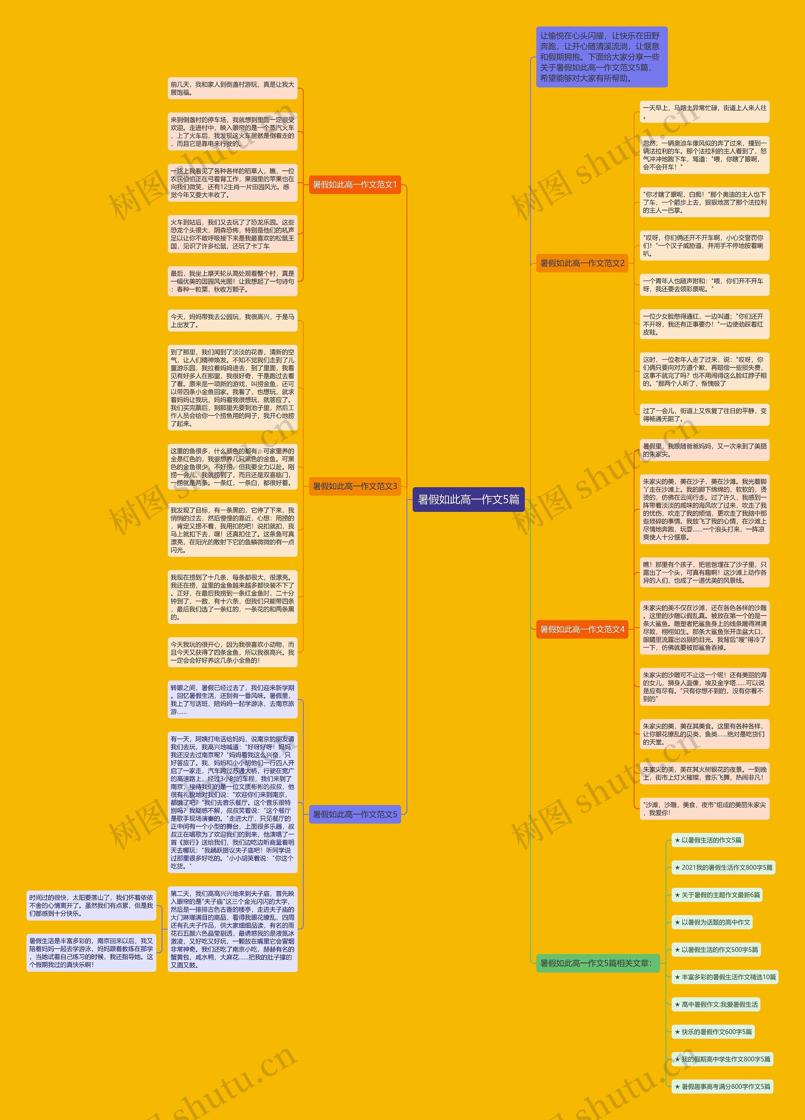 暑假如此高一作文5篇思维导图