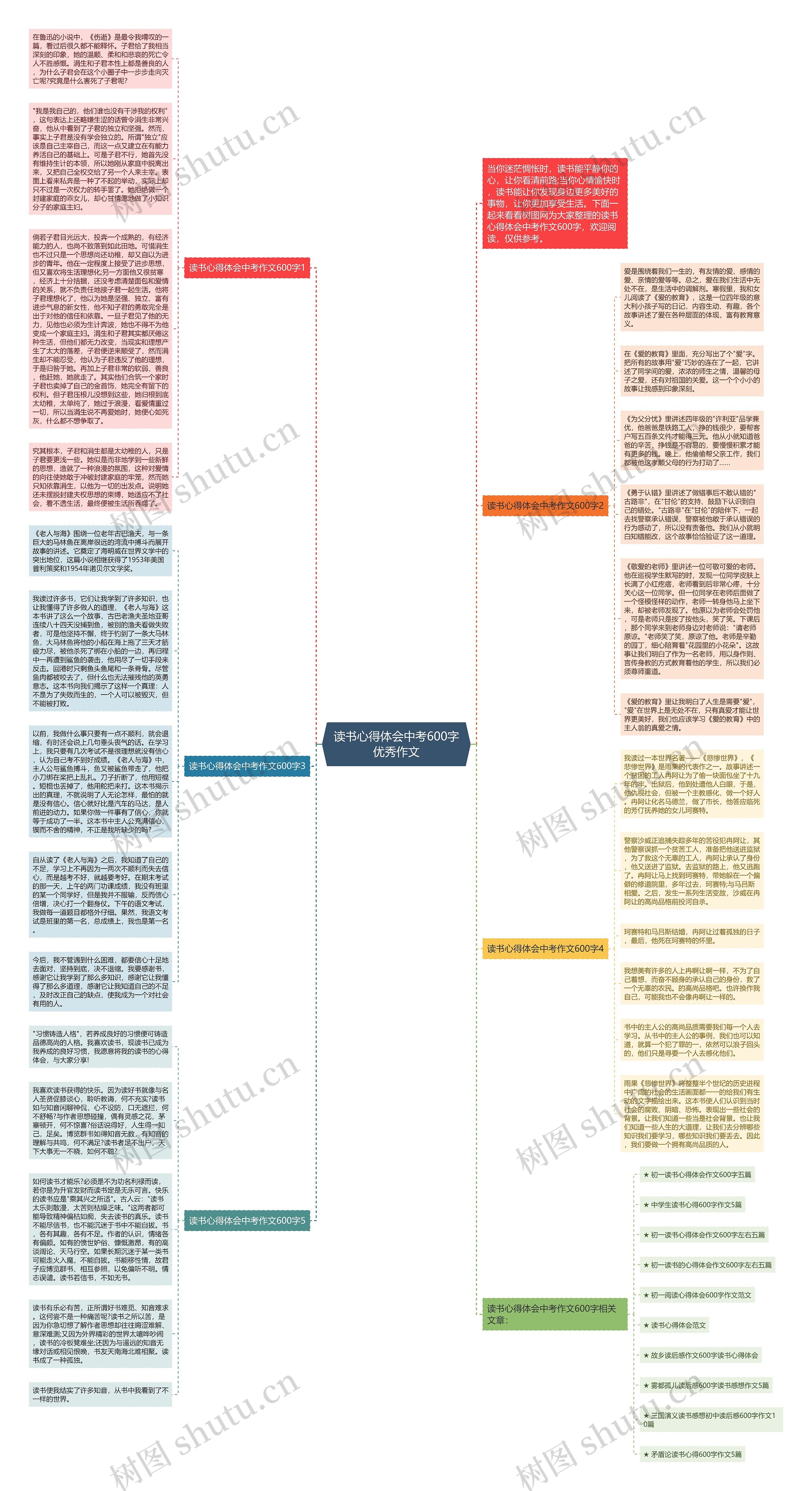 读书心得体会中考600字优秀作文思维导图