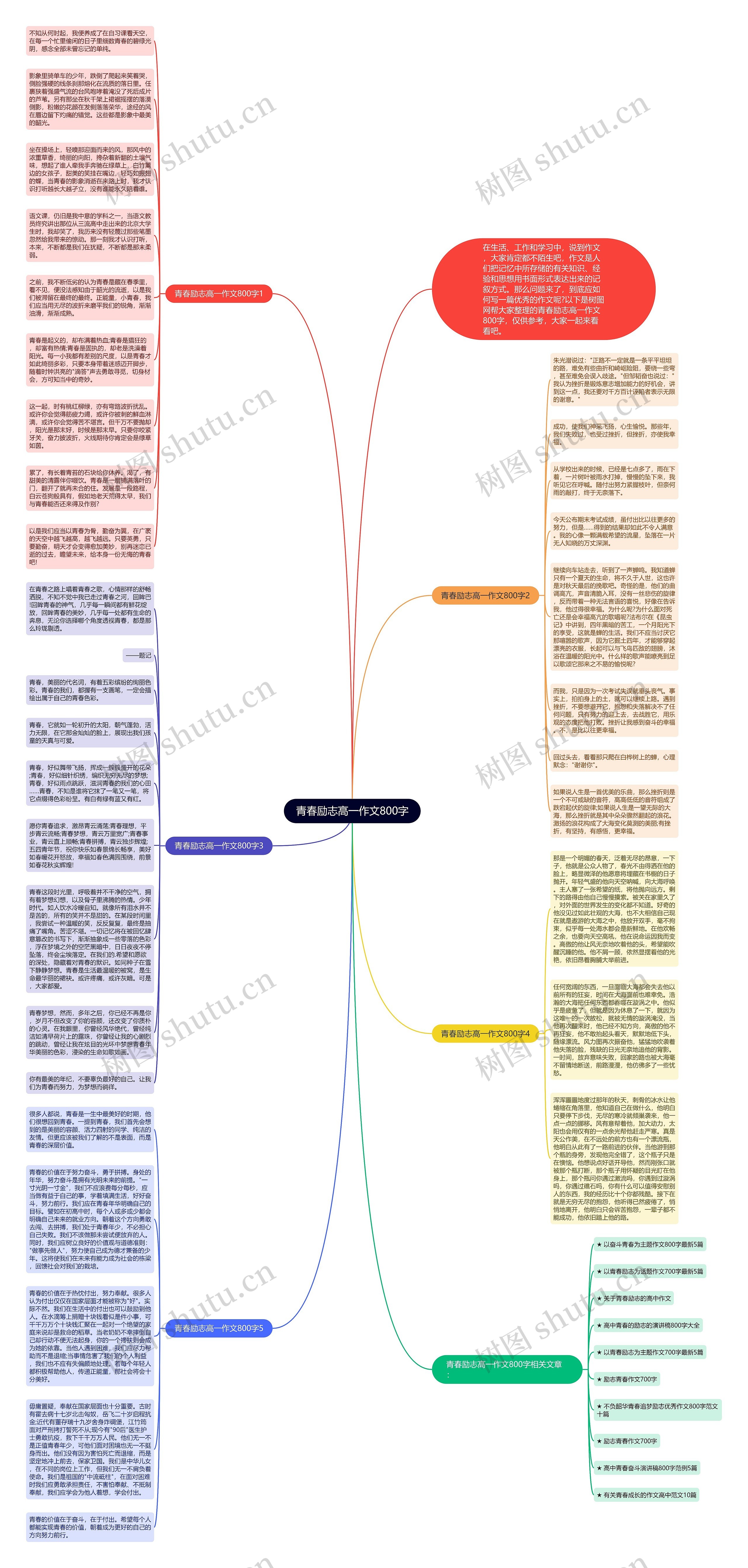 青春励志高一作文800字思维导图