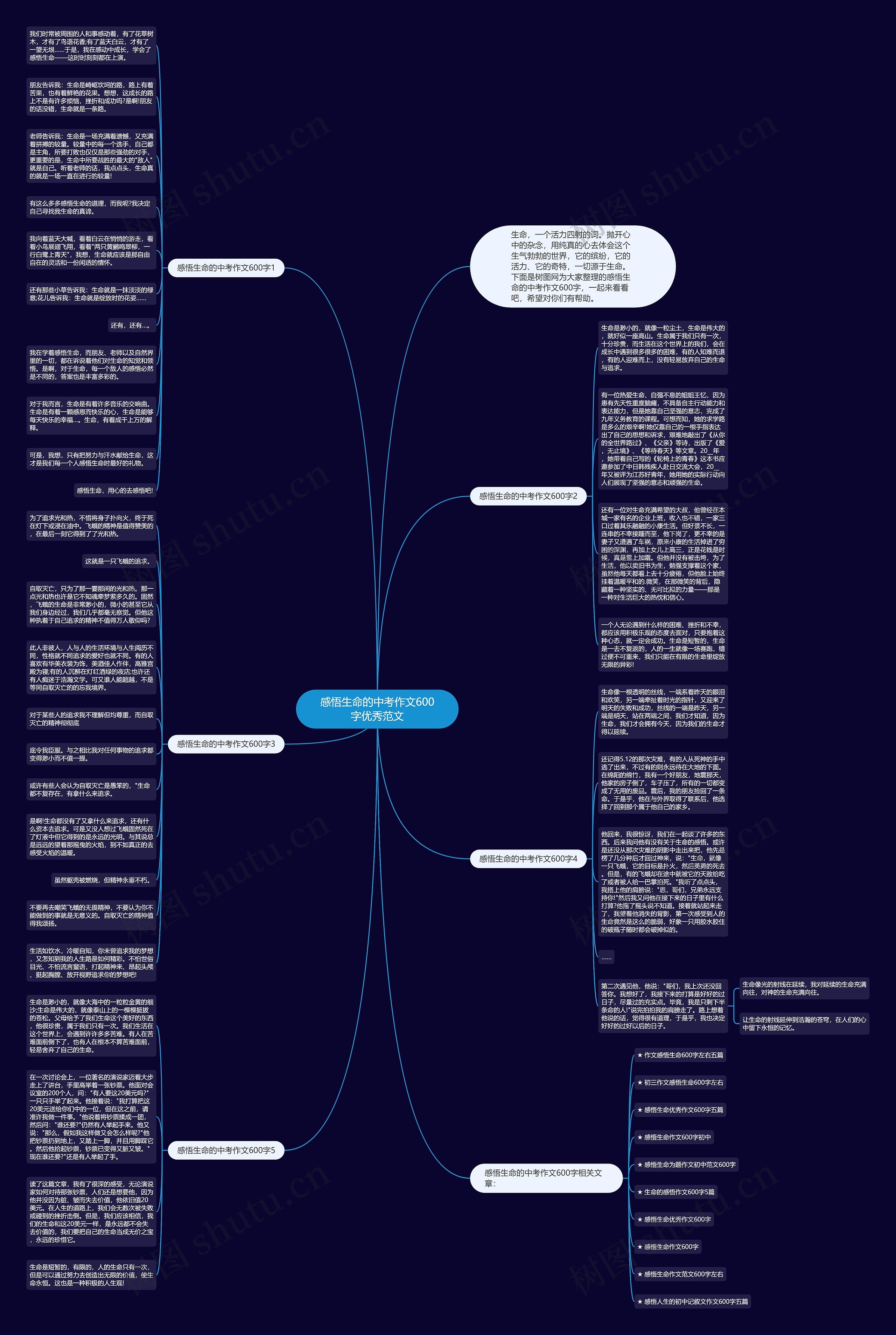 感悟生命的中考作文600字优秀范文思维导图