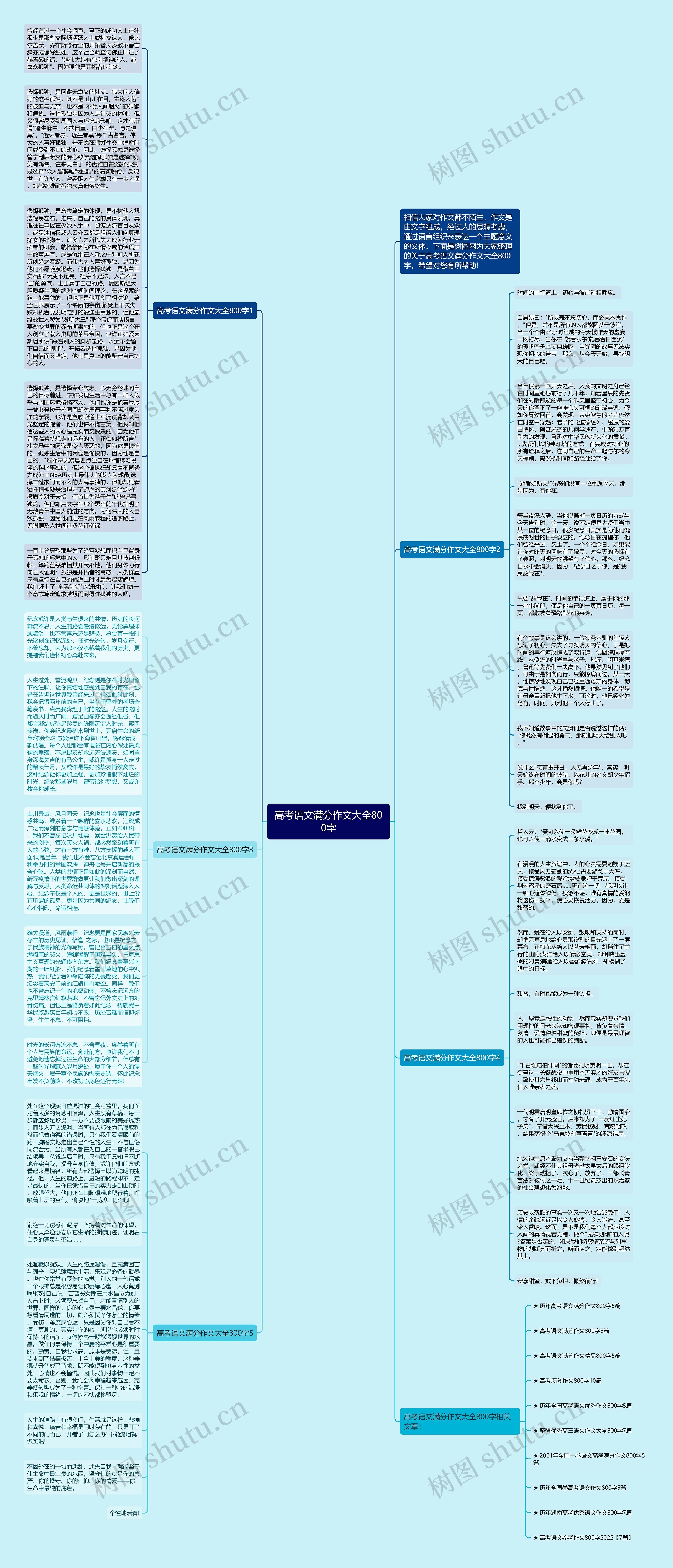 高考语文满分作文大全800字思维导图