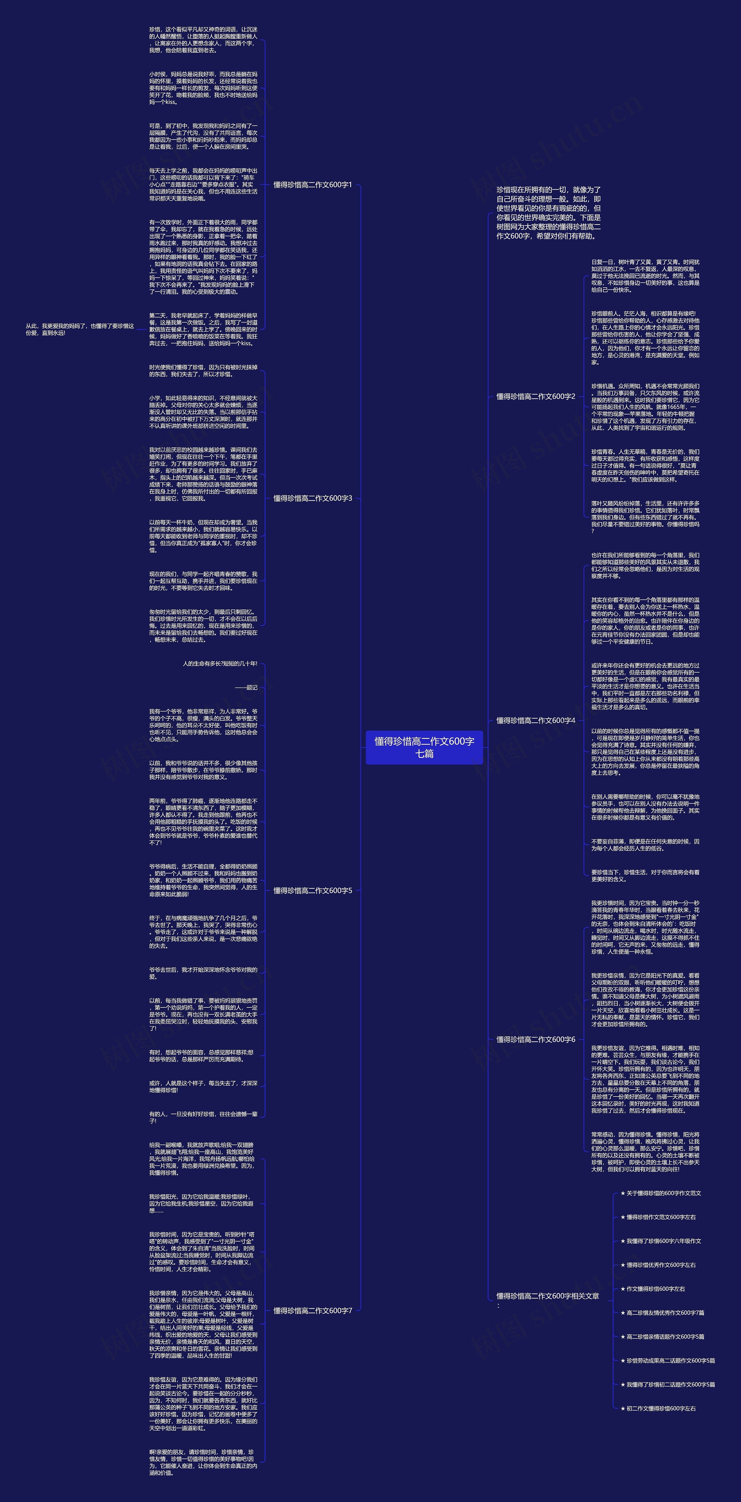 懂得珍惜高二作文600字七篇思维导图