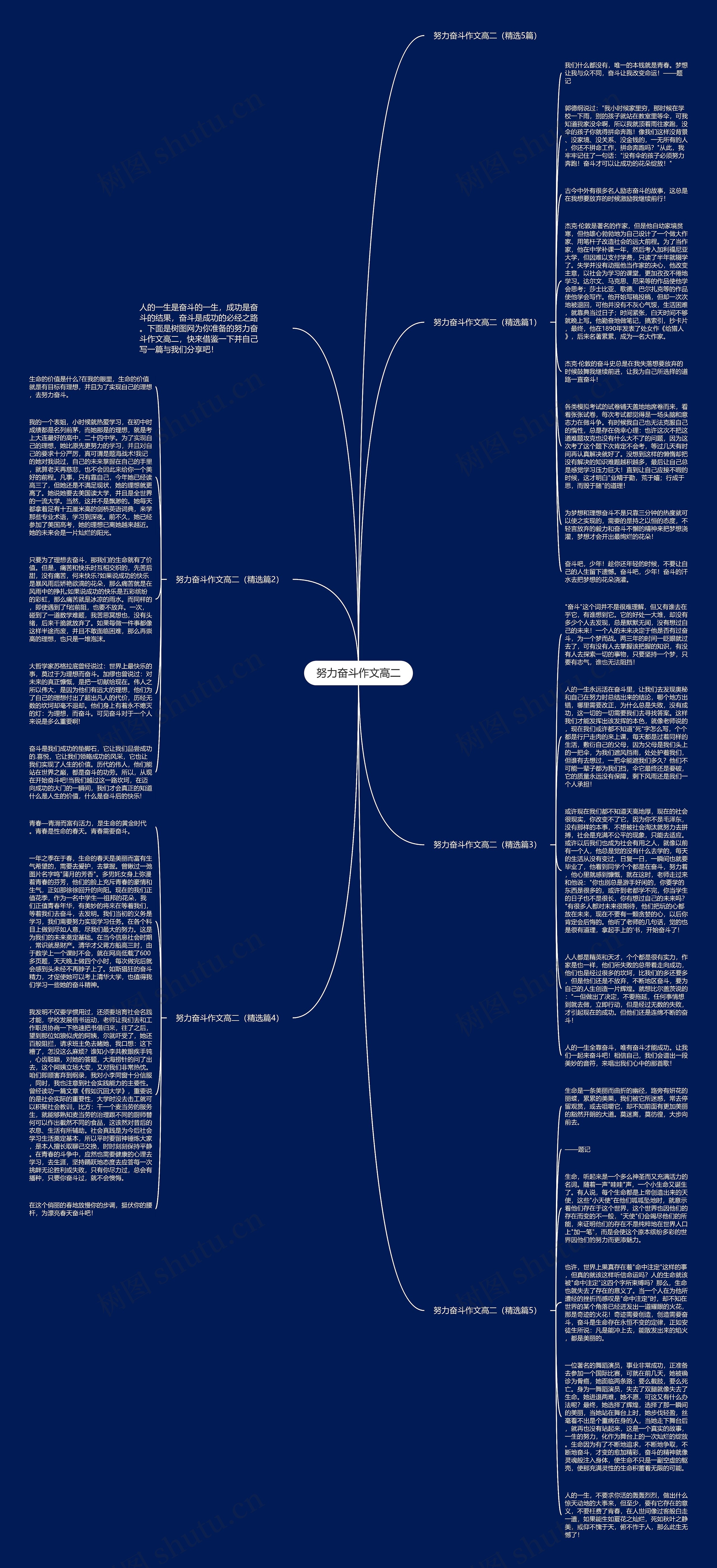 努力奋斗作文高二思维导图
