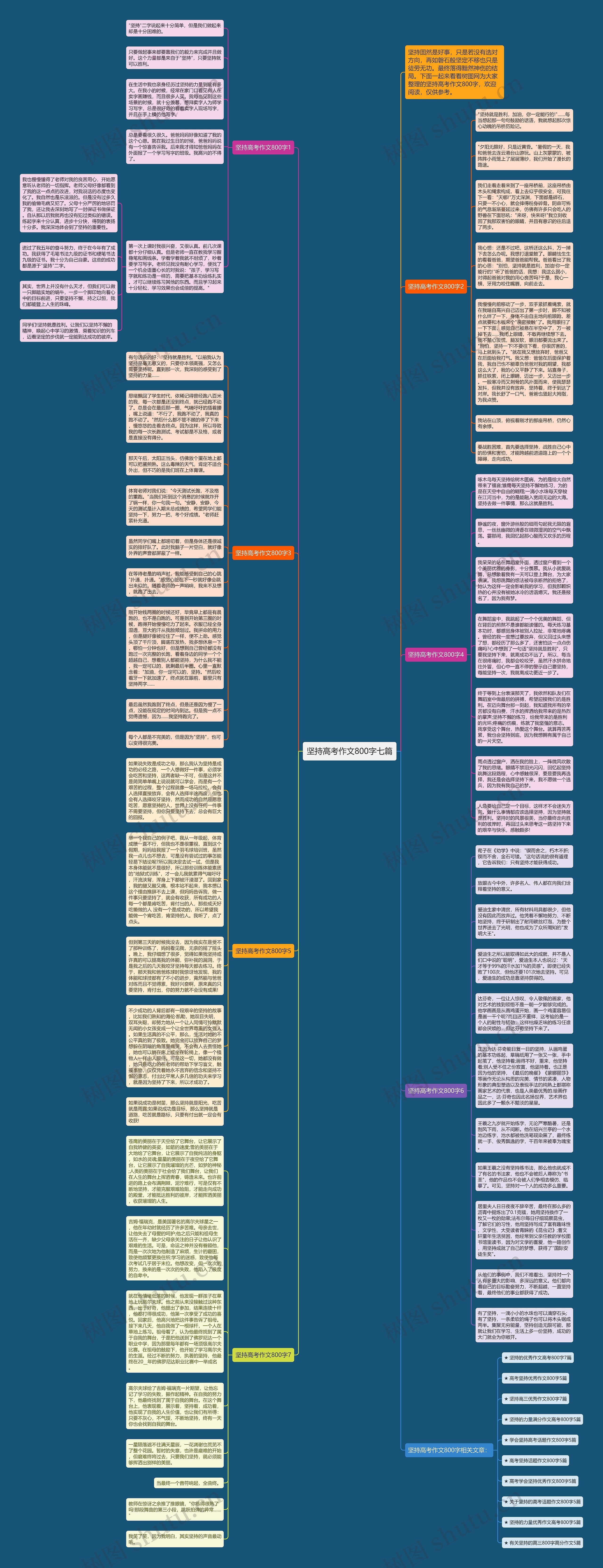 坚持高考作文800字七篇思维导图