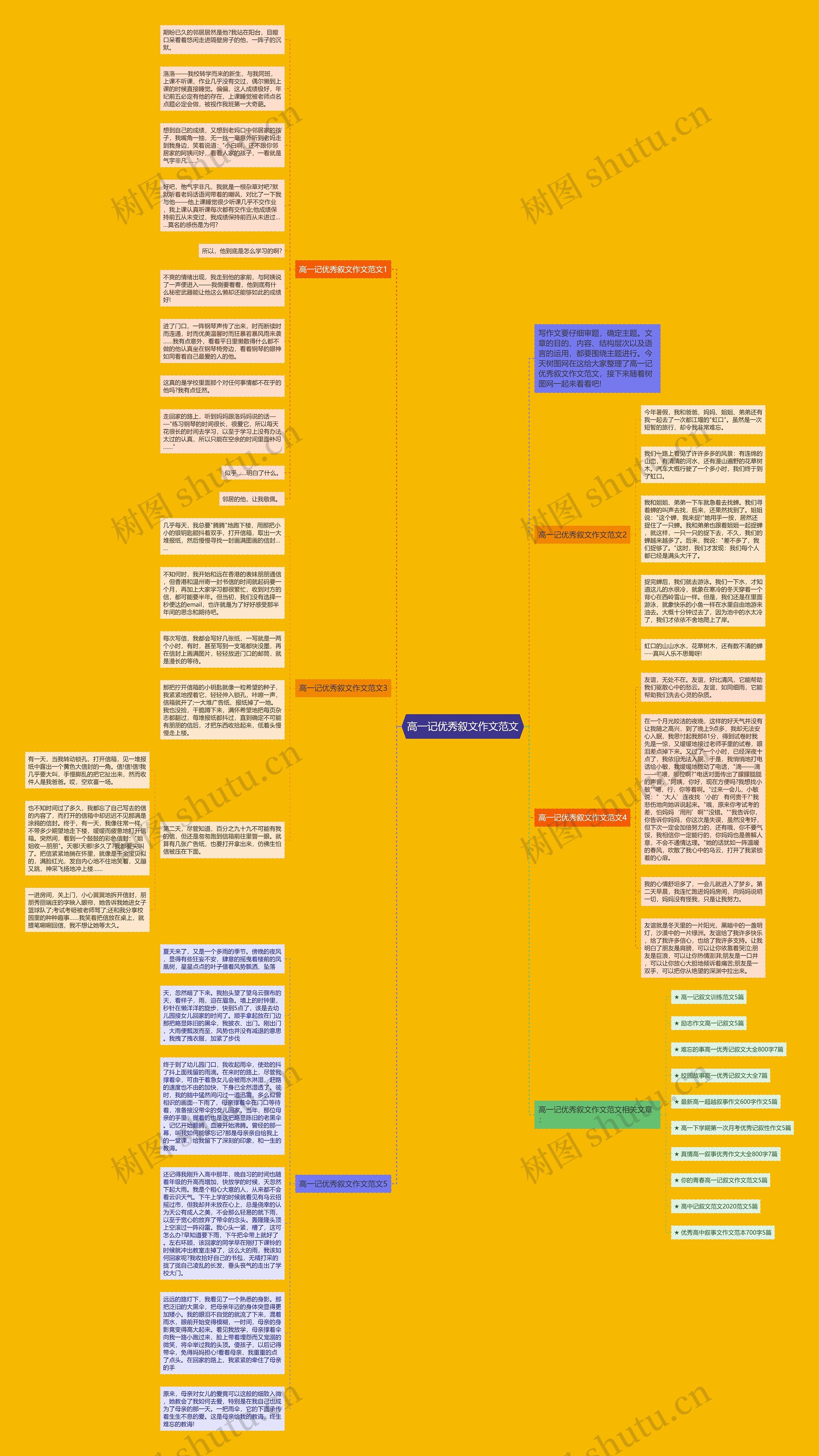高一记优秀叙文作文范文思维导图