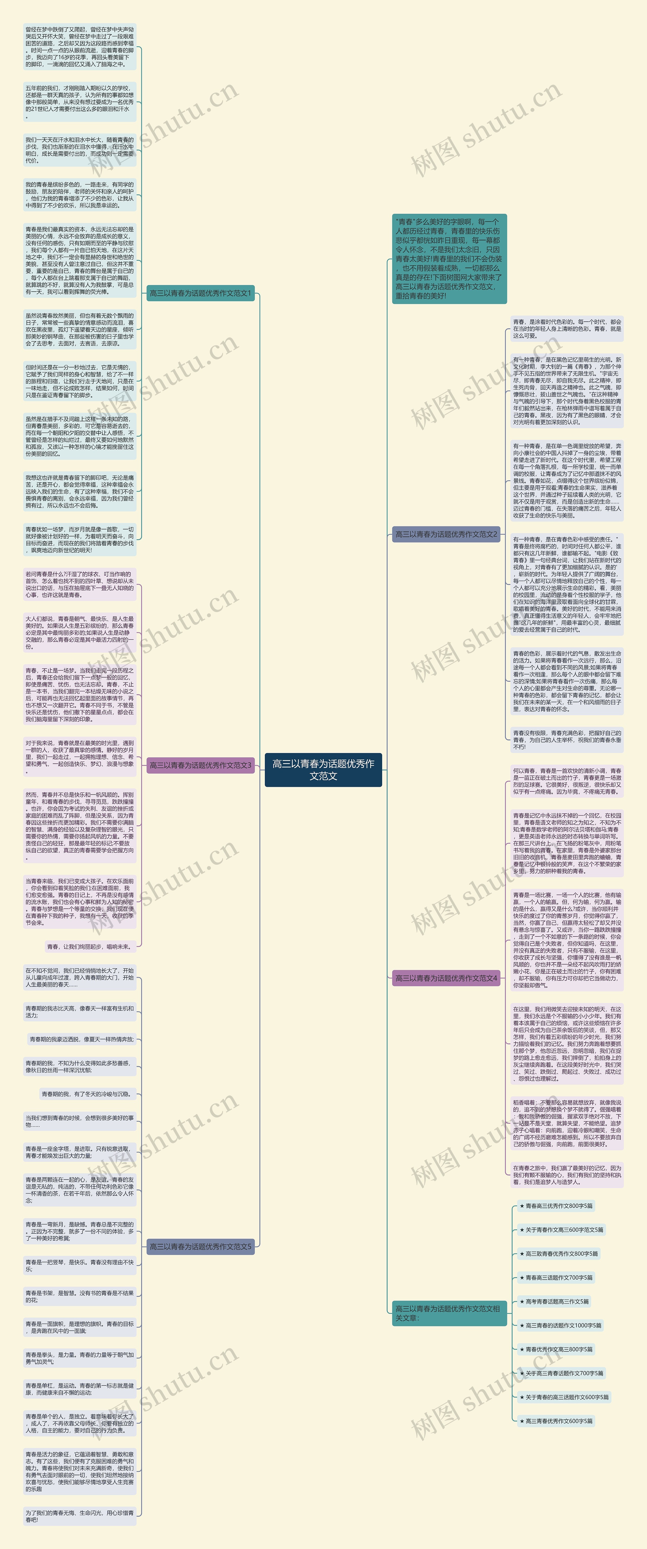 高三以青春为话题优秀作文范文思维导图