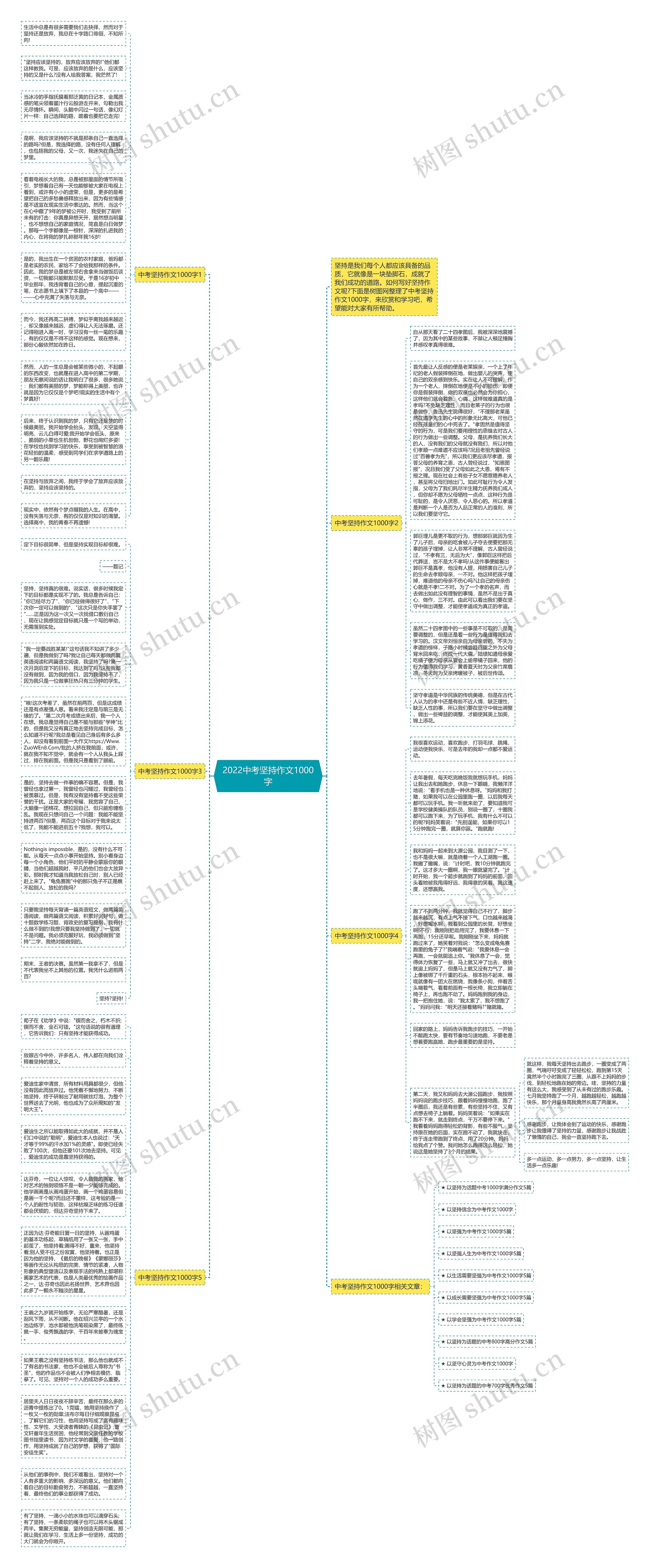 2022中考坚持作文1000字思维导图