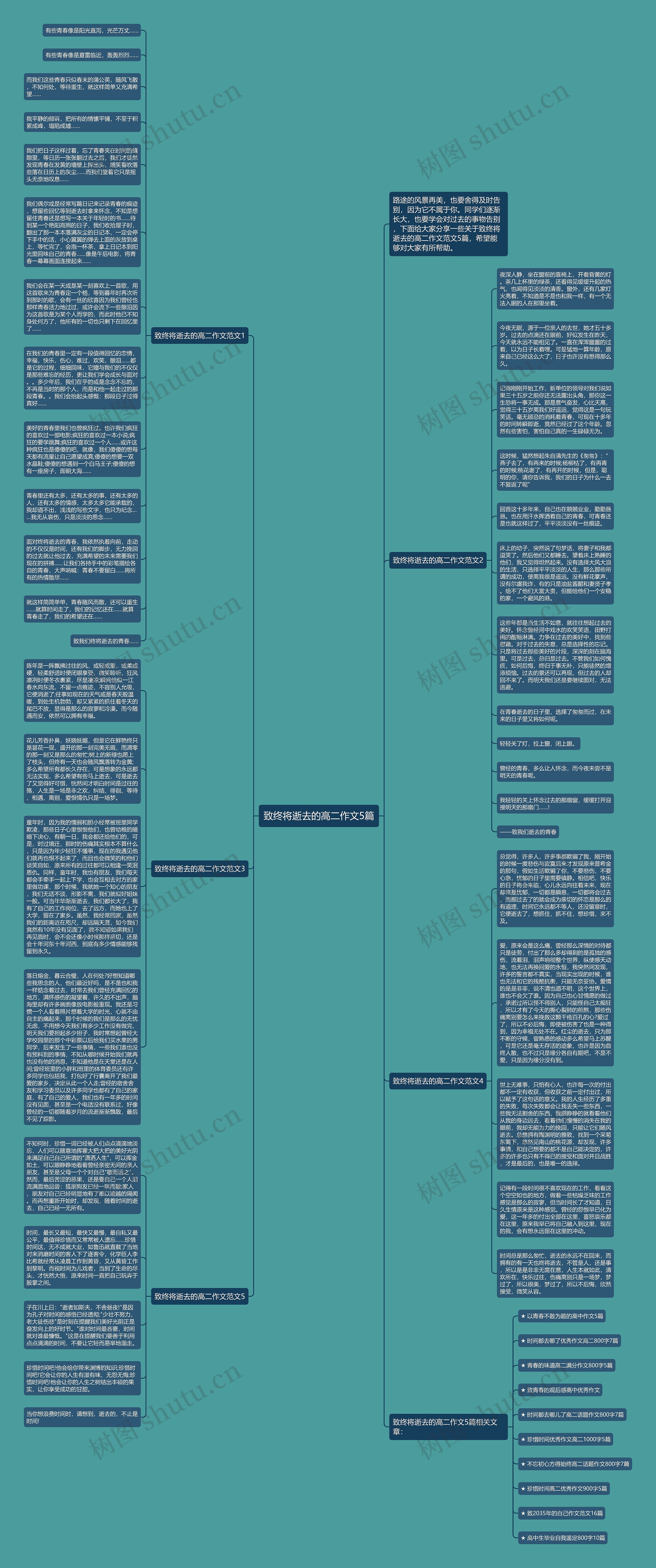 致终将逝去的高二作文5篇思维导图