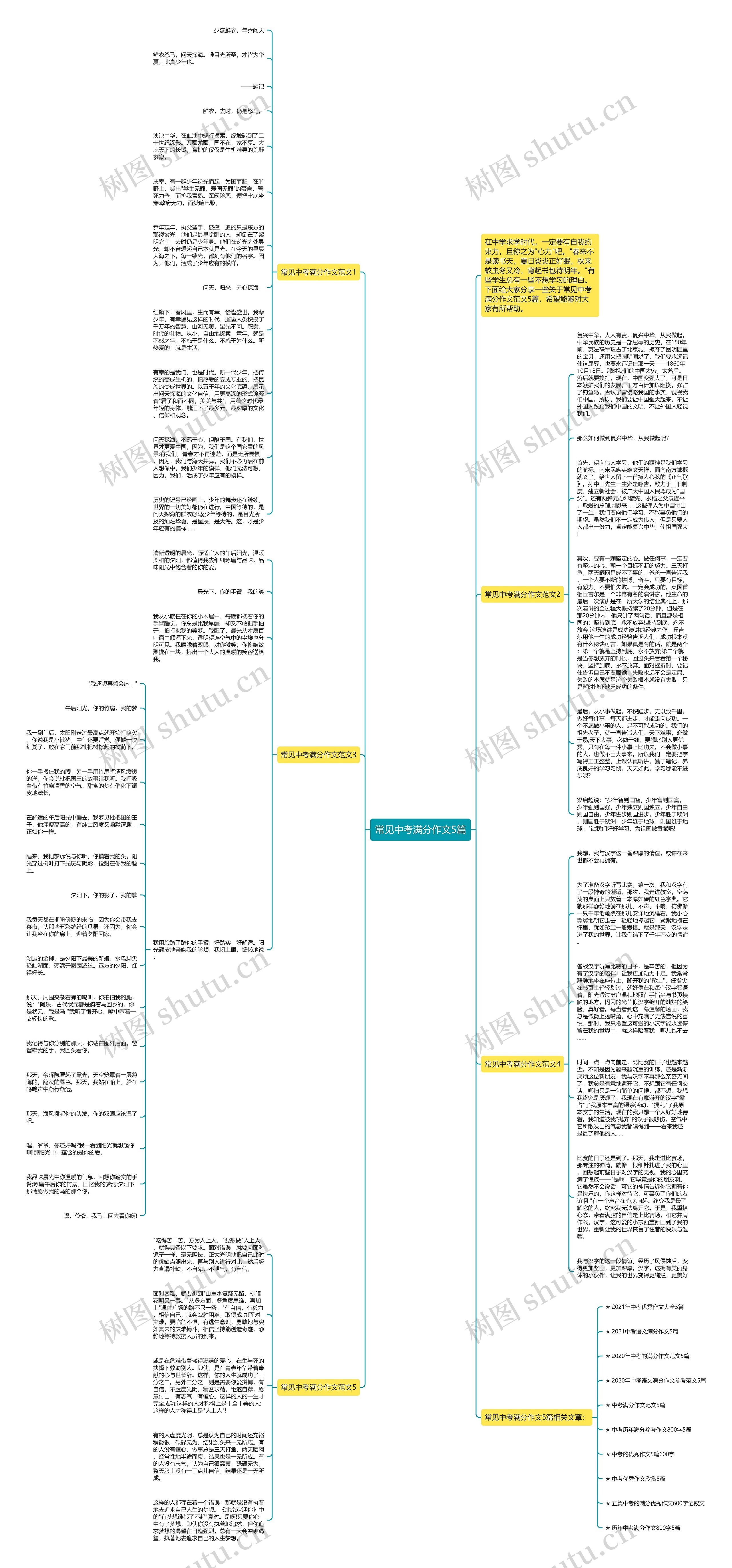 常见中考满分作文5篇思维导图