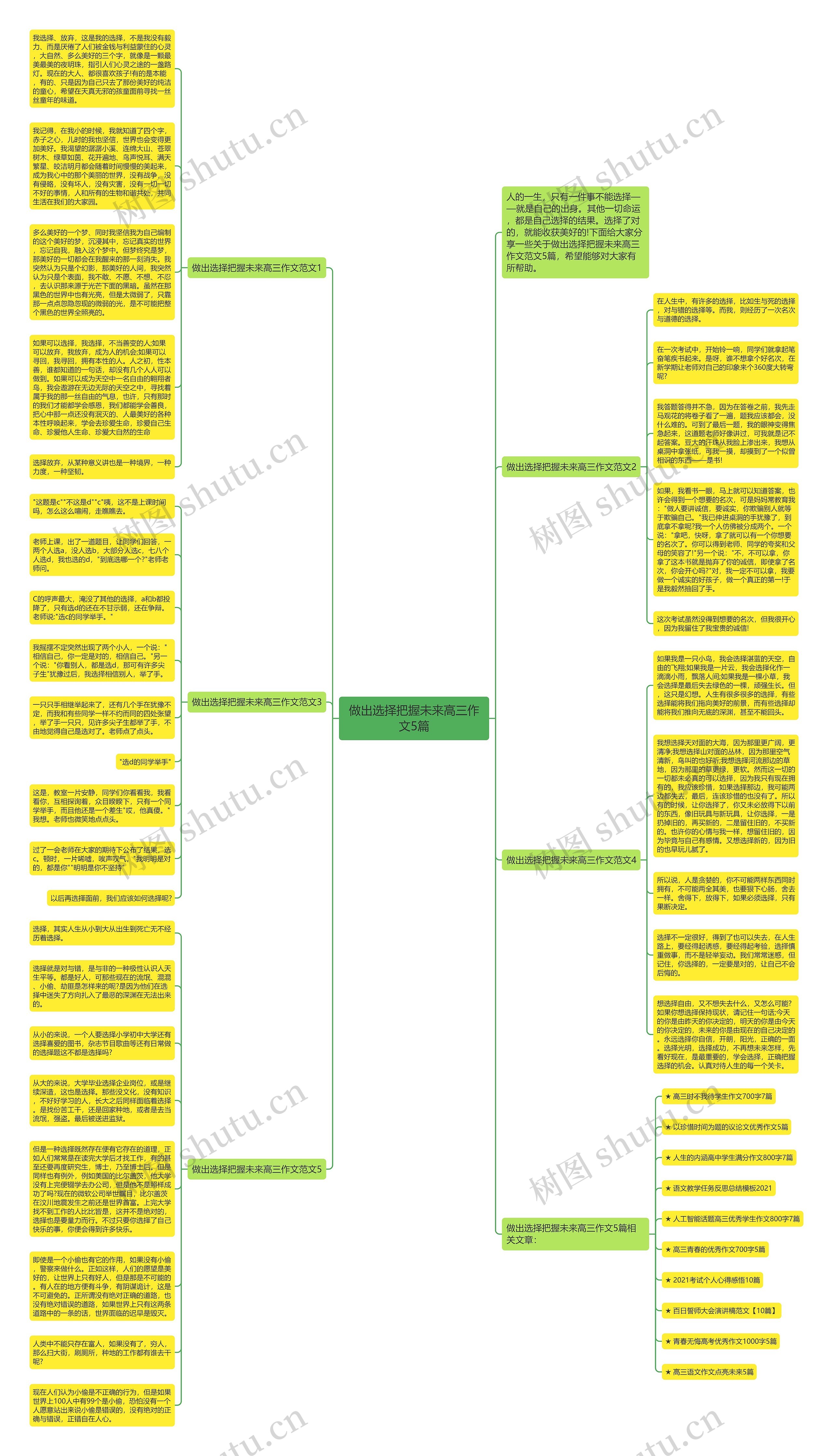 做出选择把握未来高三作文5篇思维导图