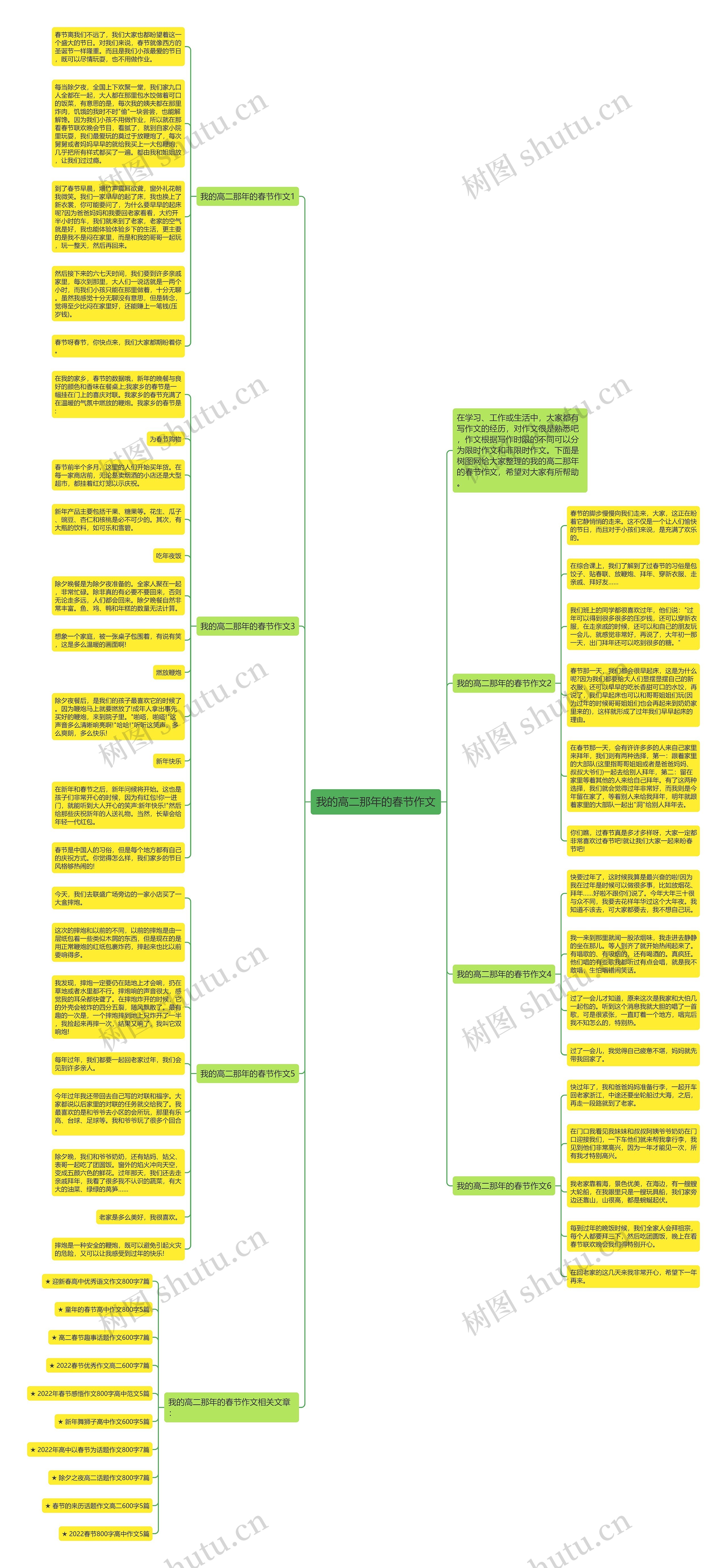 我的高二那年的春节作文思维导图