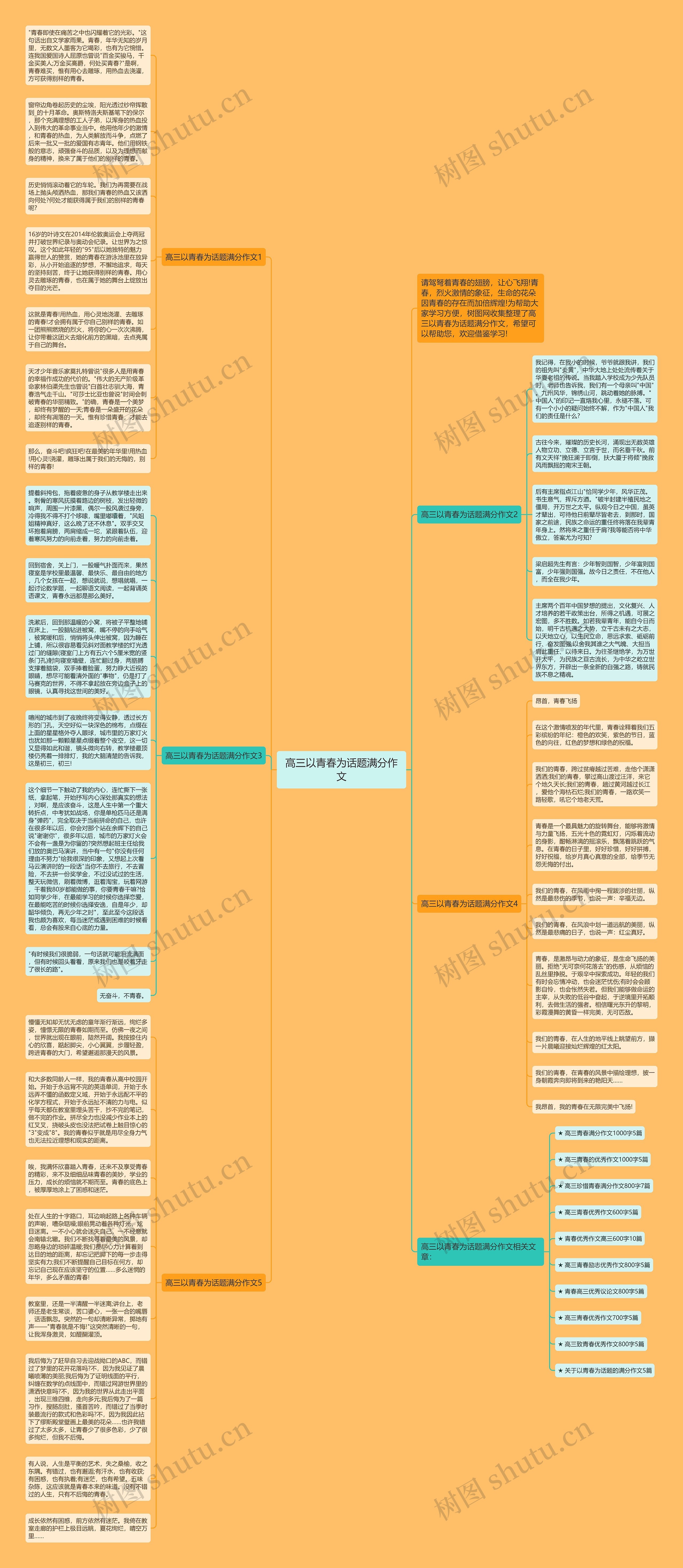 高三以青春为话题满分作文思维导图