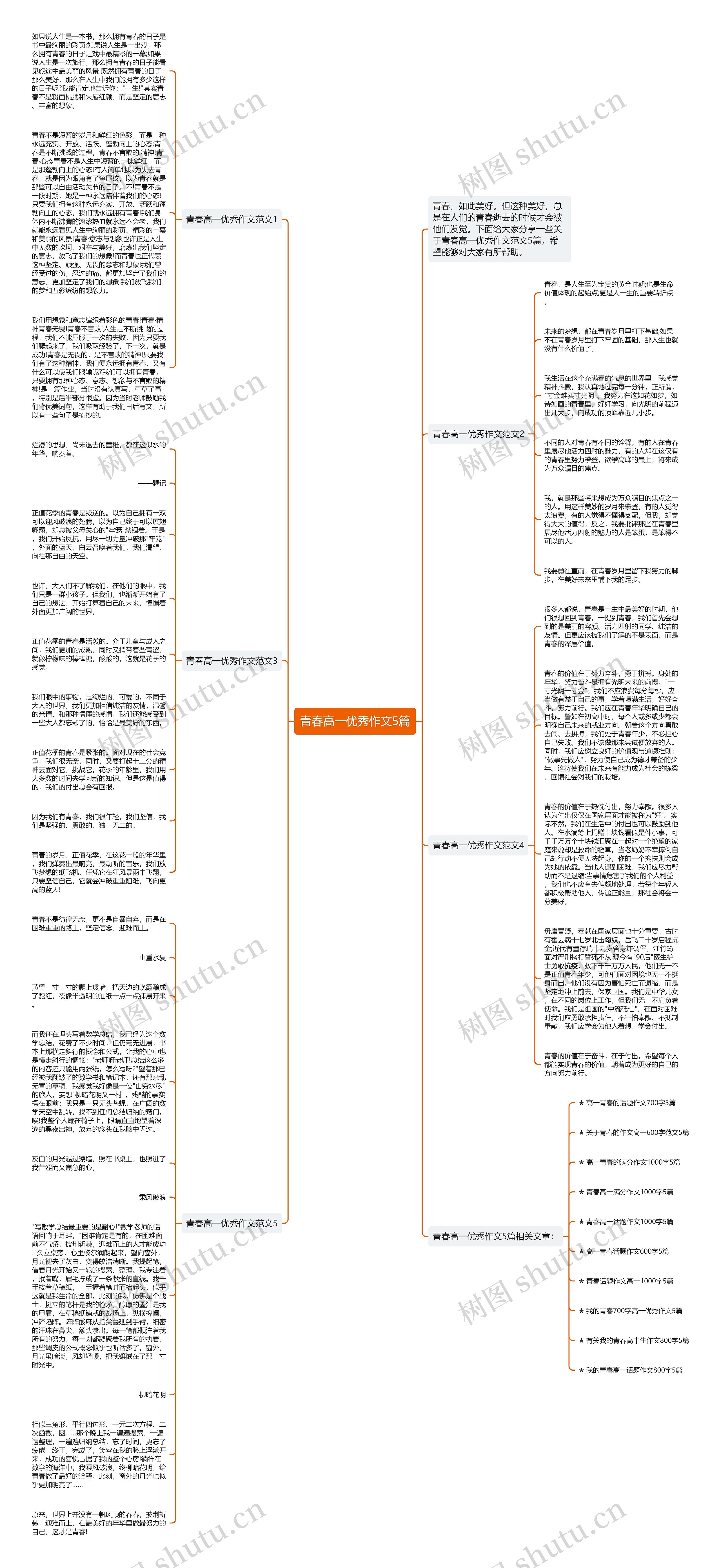 青春高一优秀作文5篇思维导图