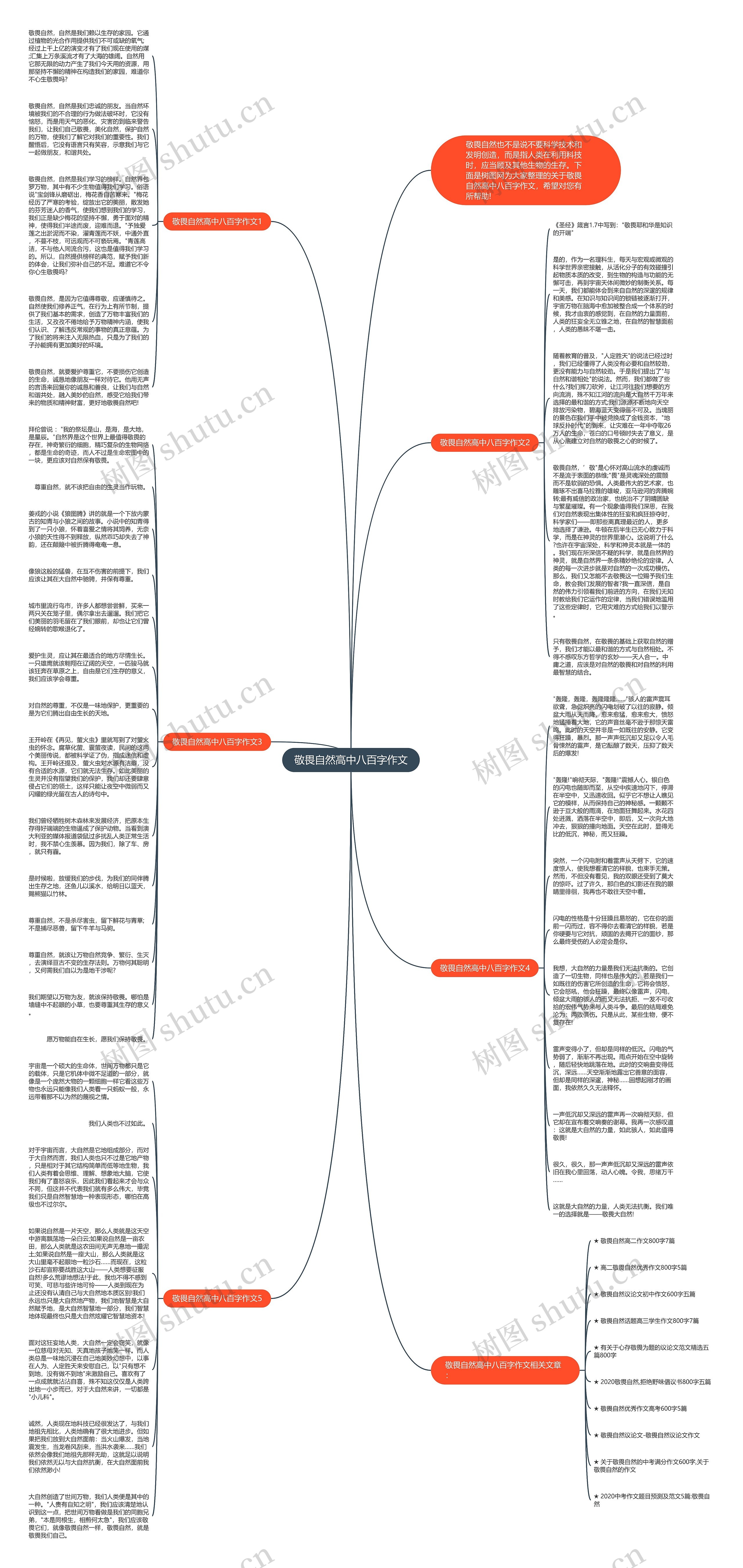 敬畏自然高中八百字作文思维导图