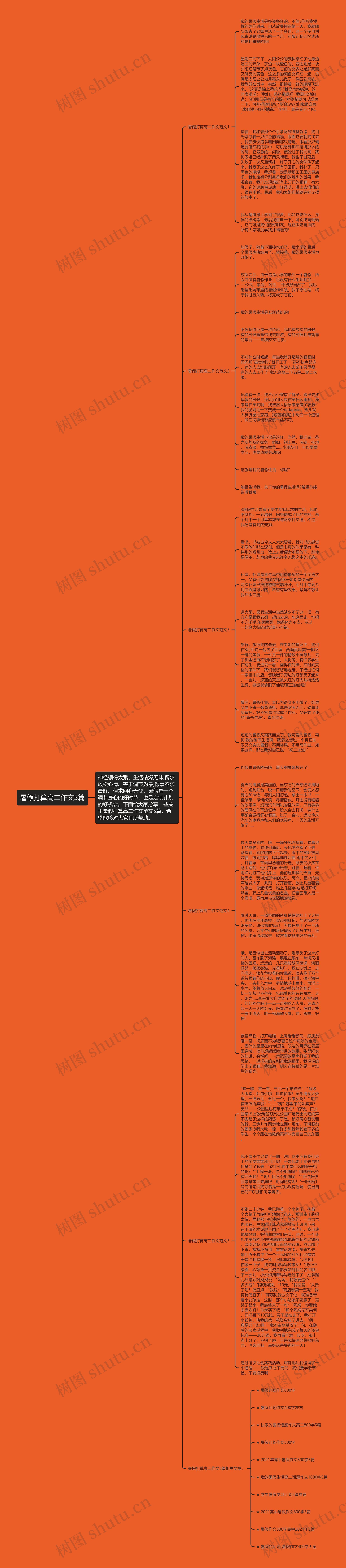 暑假打算高二作文5篇思维导图