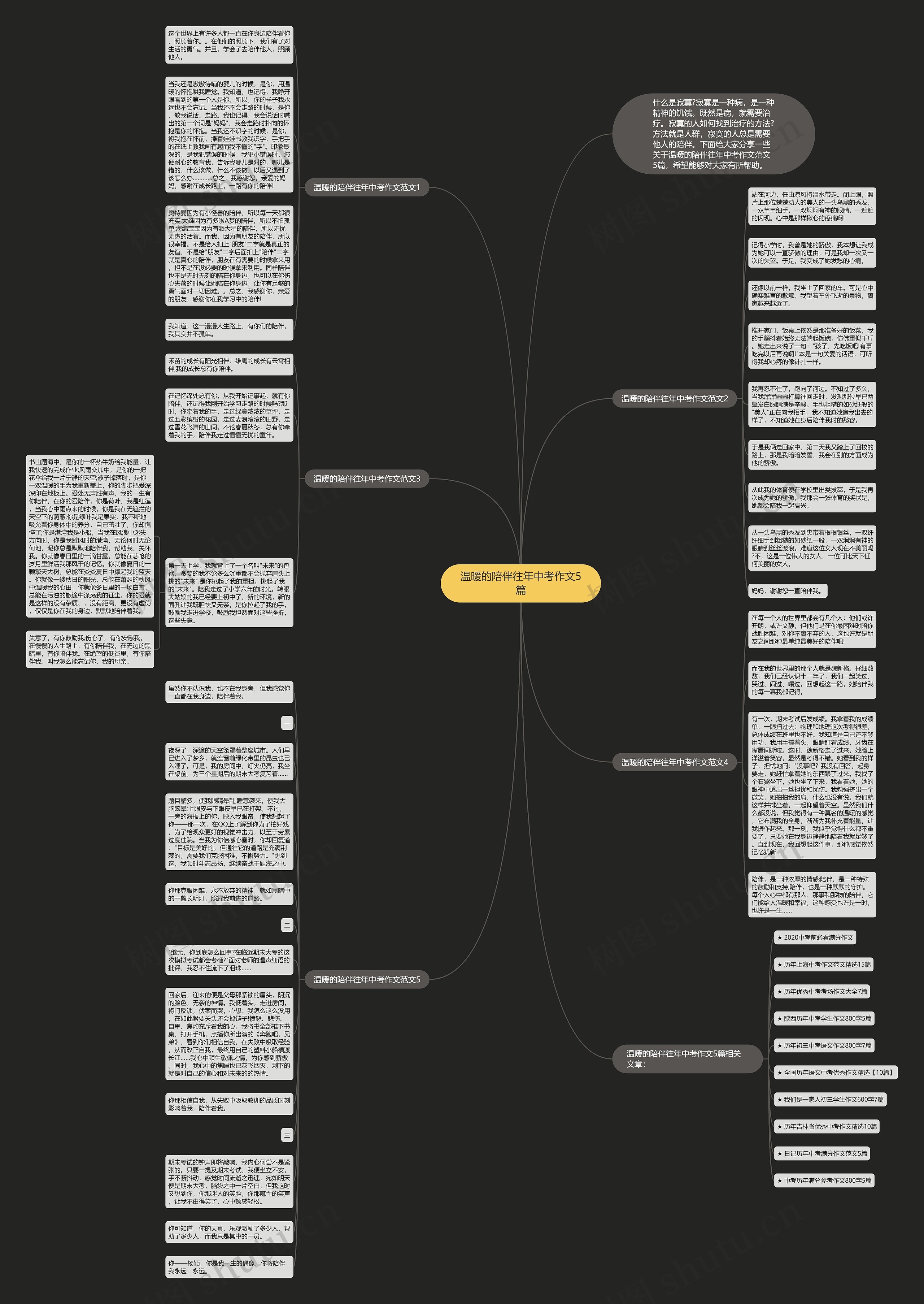 温暖的陪伴往年中考作文5篇思维导图