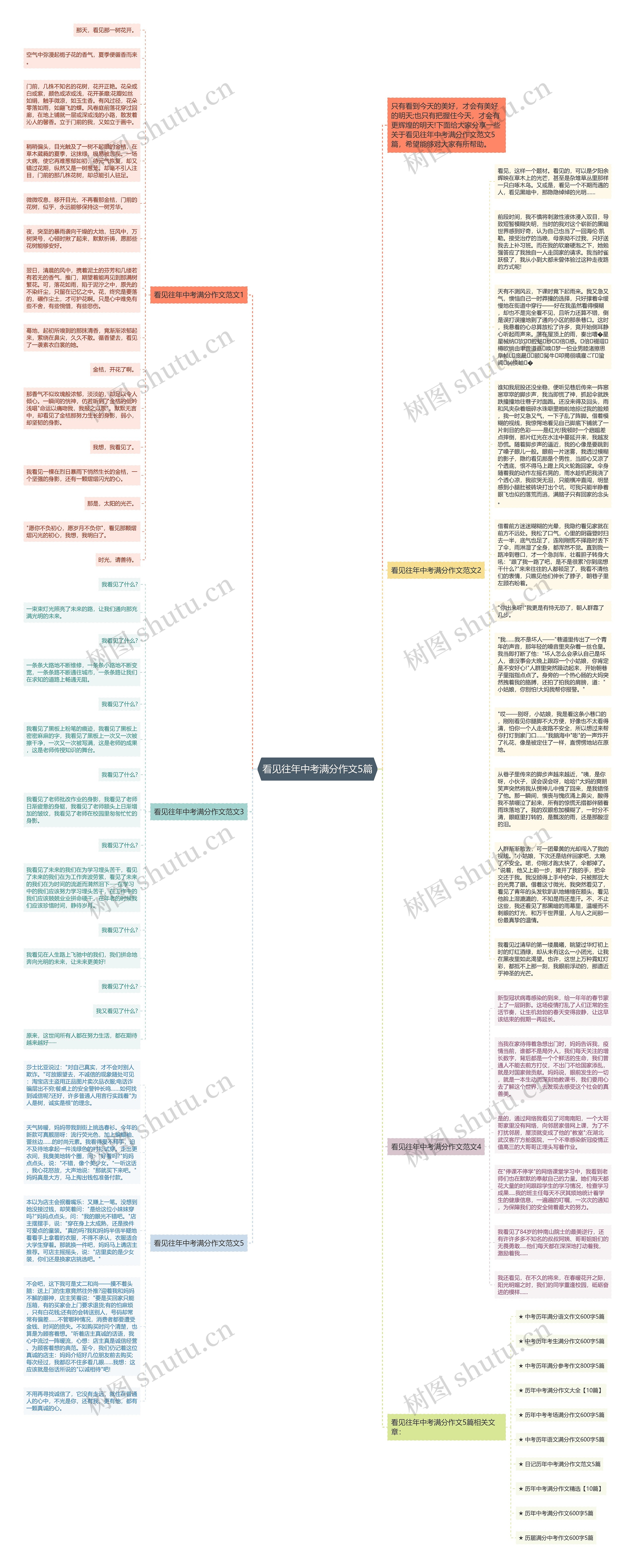 看见往年中考满分作文5篇思维导图