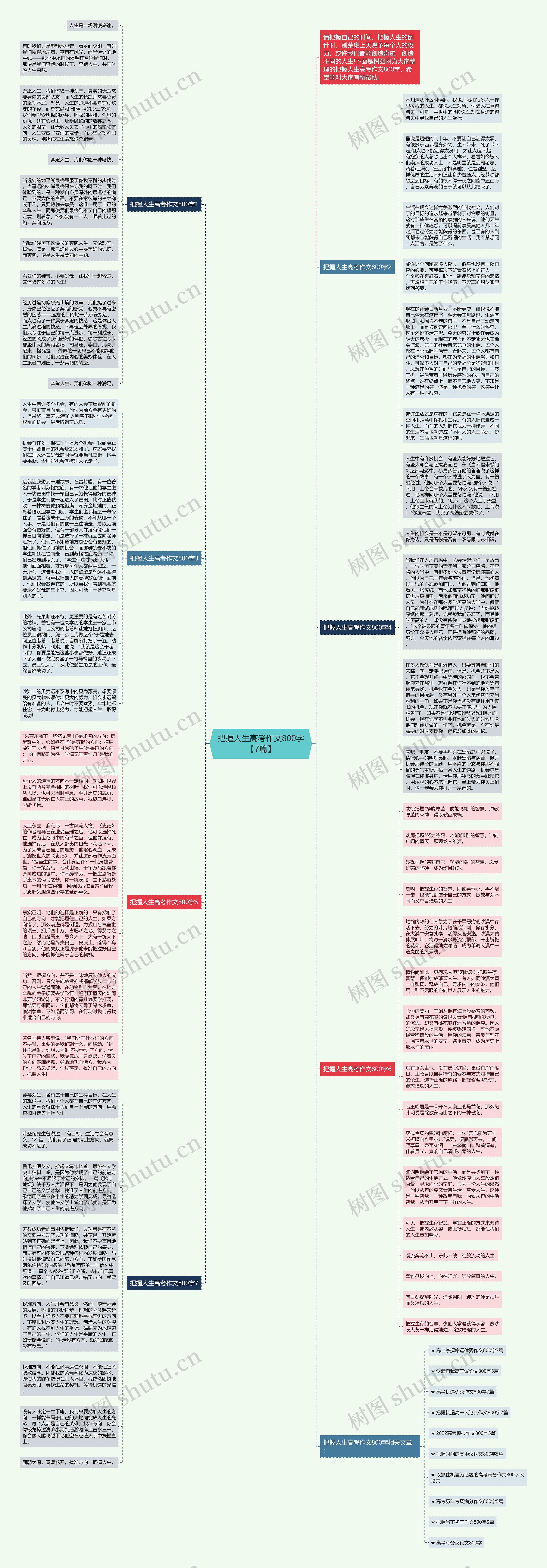 把握人生高考作文800字【7篇】思维导图