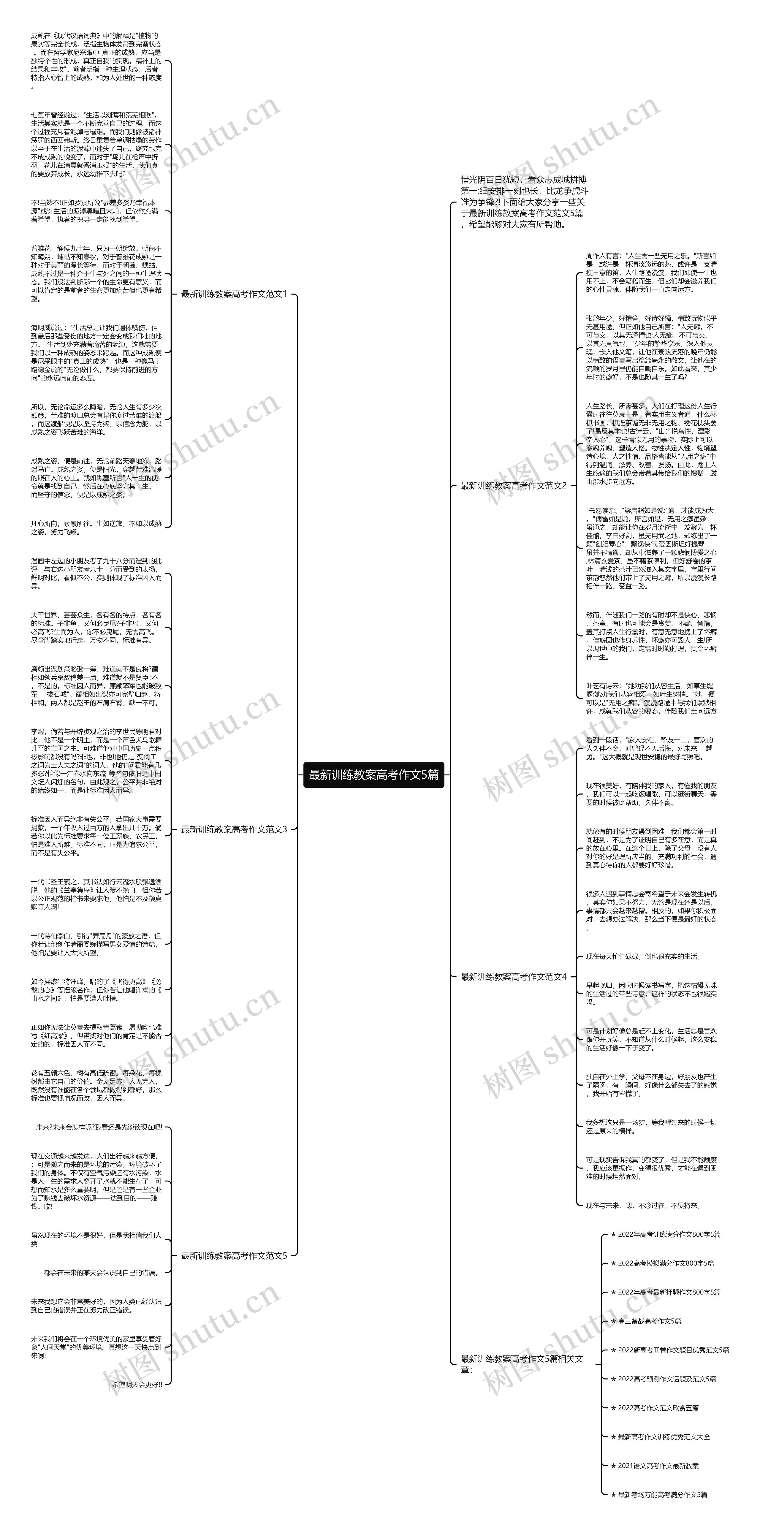 最新训练教案高考作文5篇思维导图