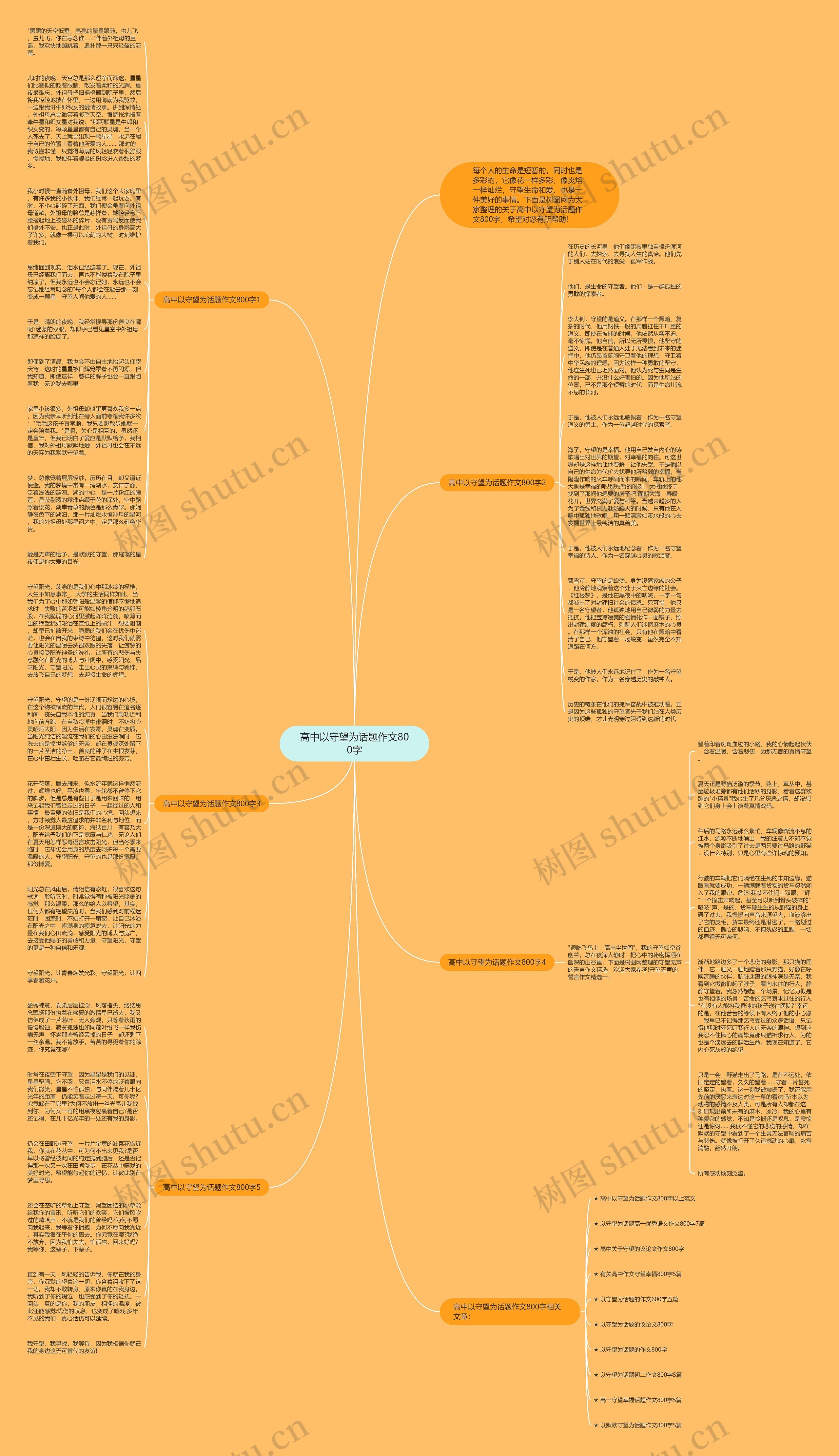 高中以守望为话题作文800字思维导图