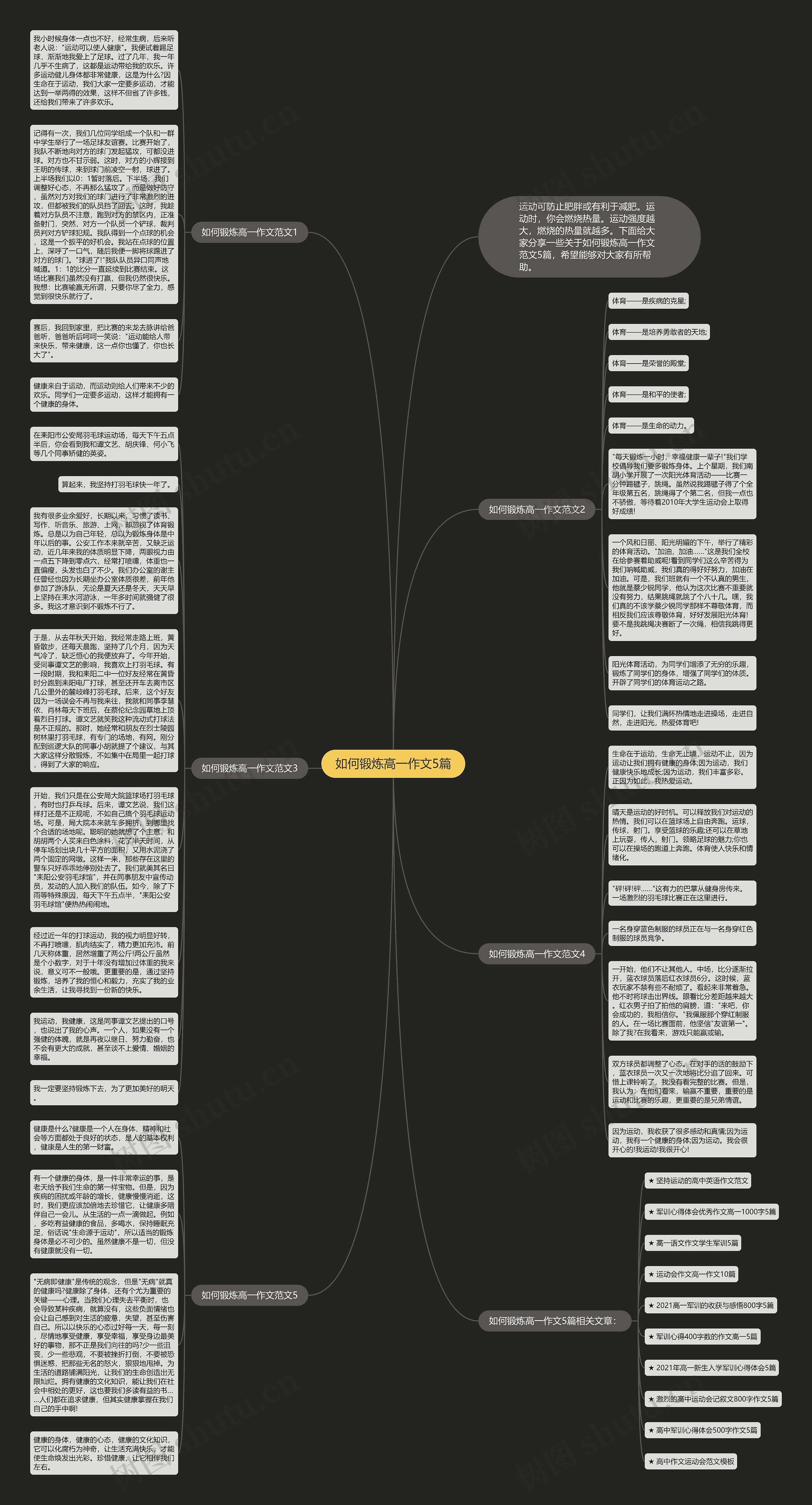 如何锻炼高一作文5篇思维导图