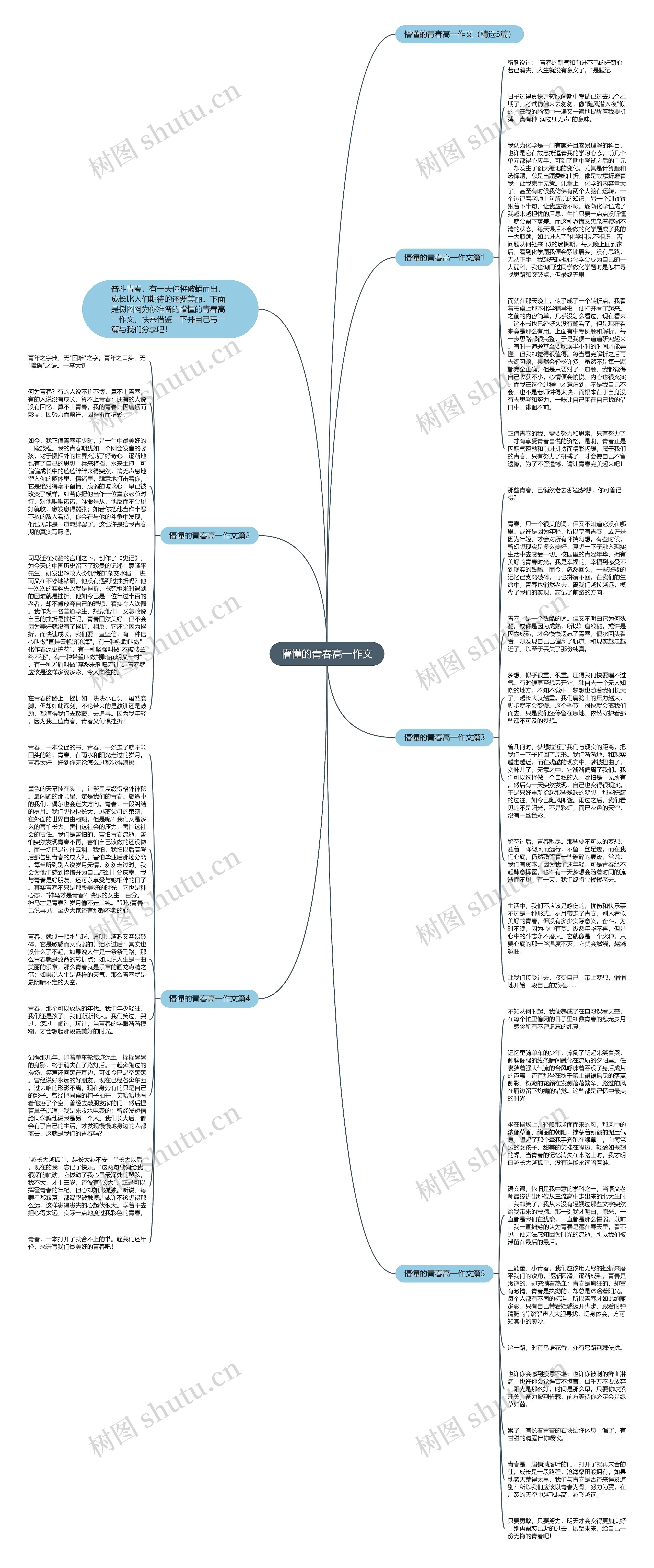 懵懂的青春高一作文思维导图