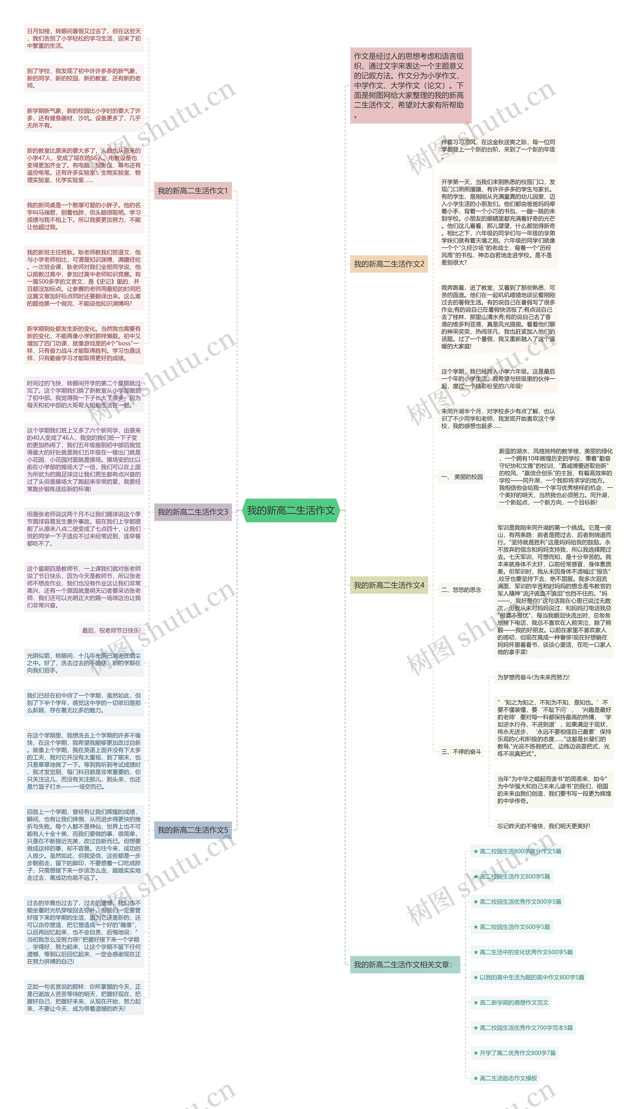 我的新高二生活作文思维导图