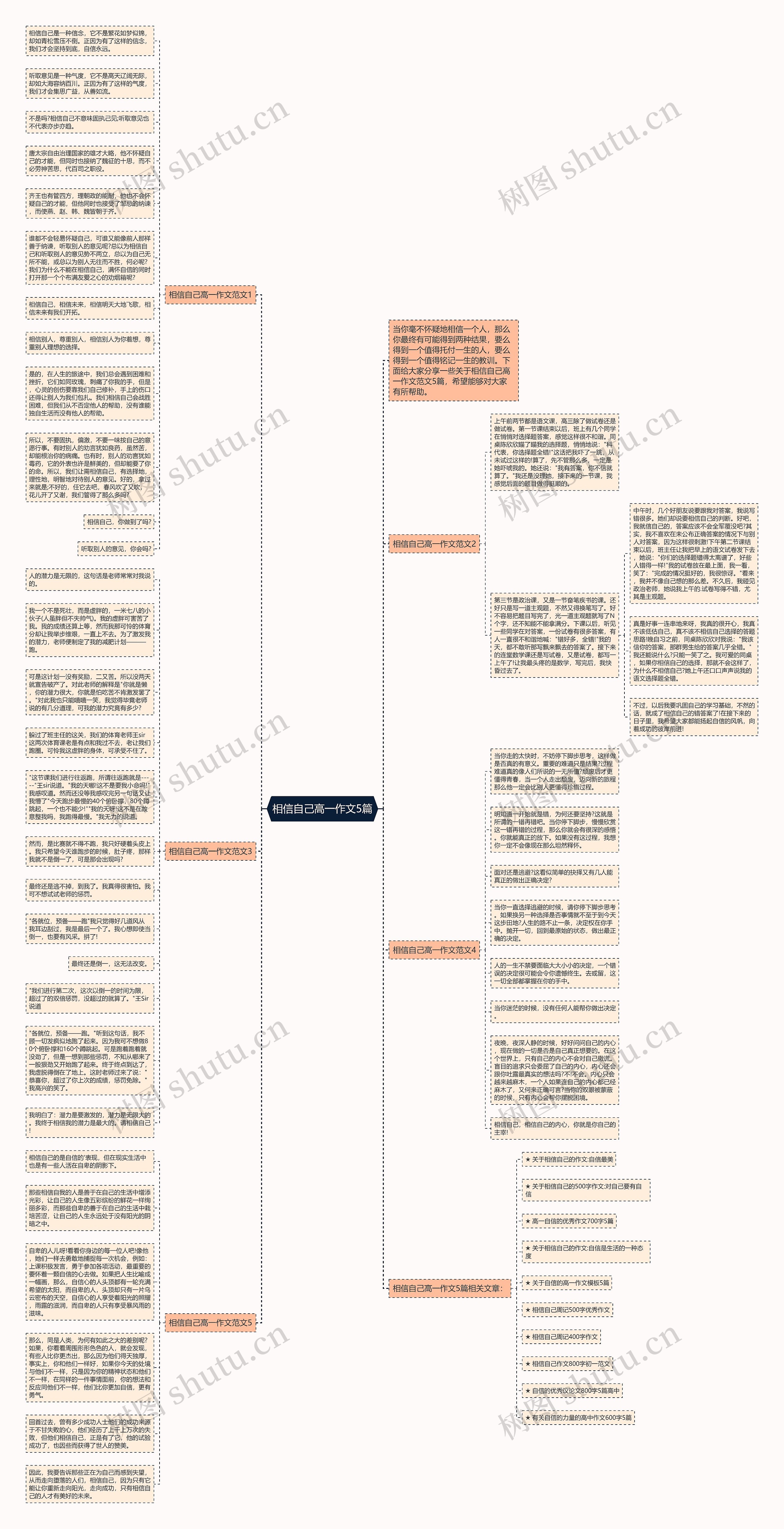 相信自己高一作文5篇思维导图