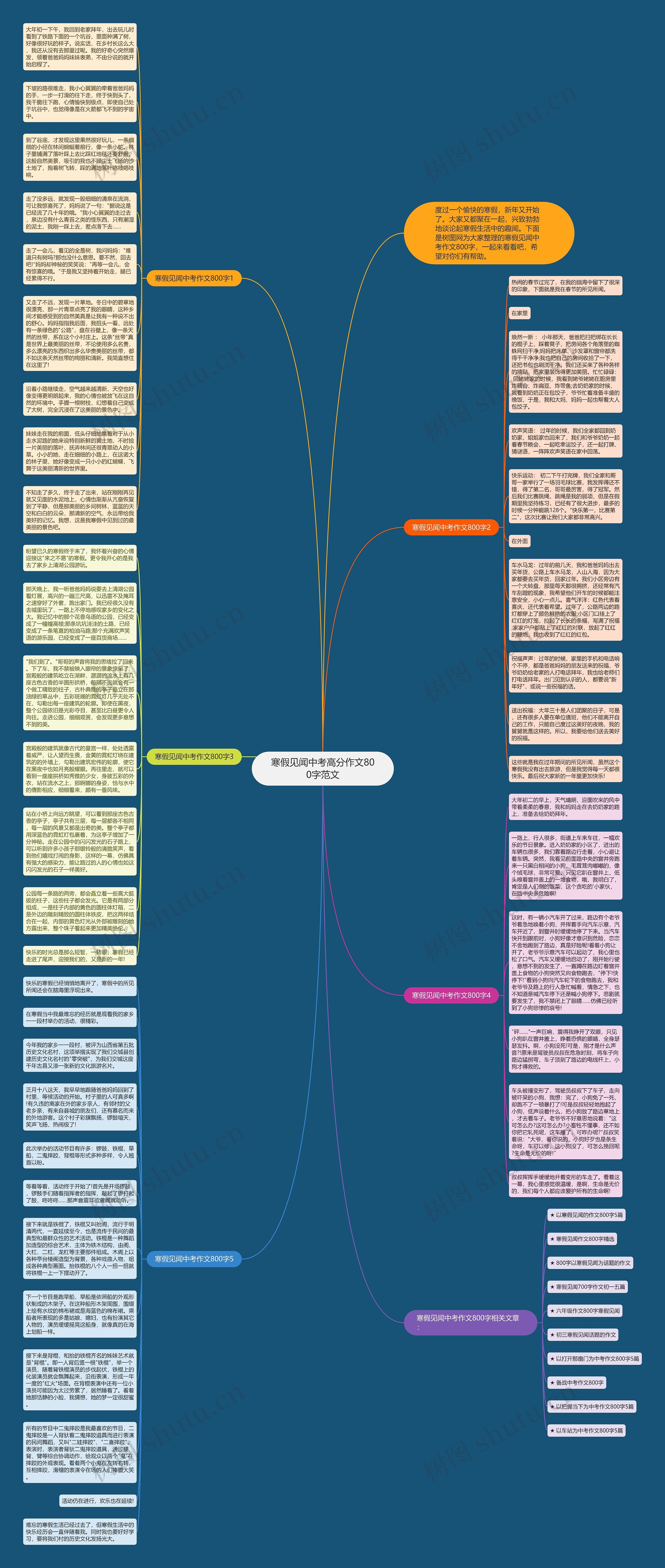 寒假见闻中考高分作文800字范文思维导图