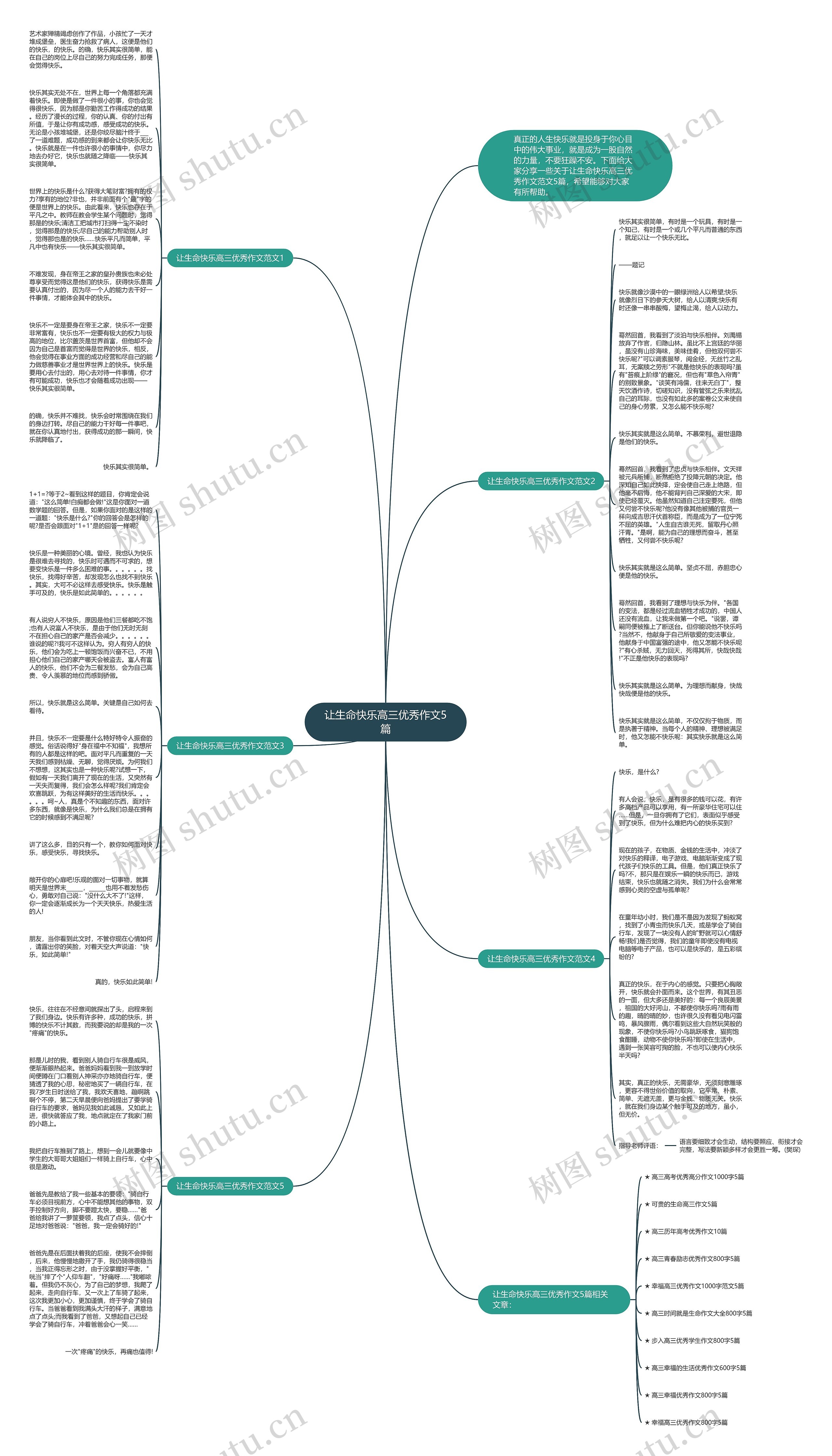 让生命快乐高三优秀作文5篇思维导图