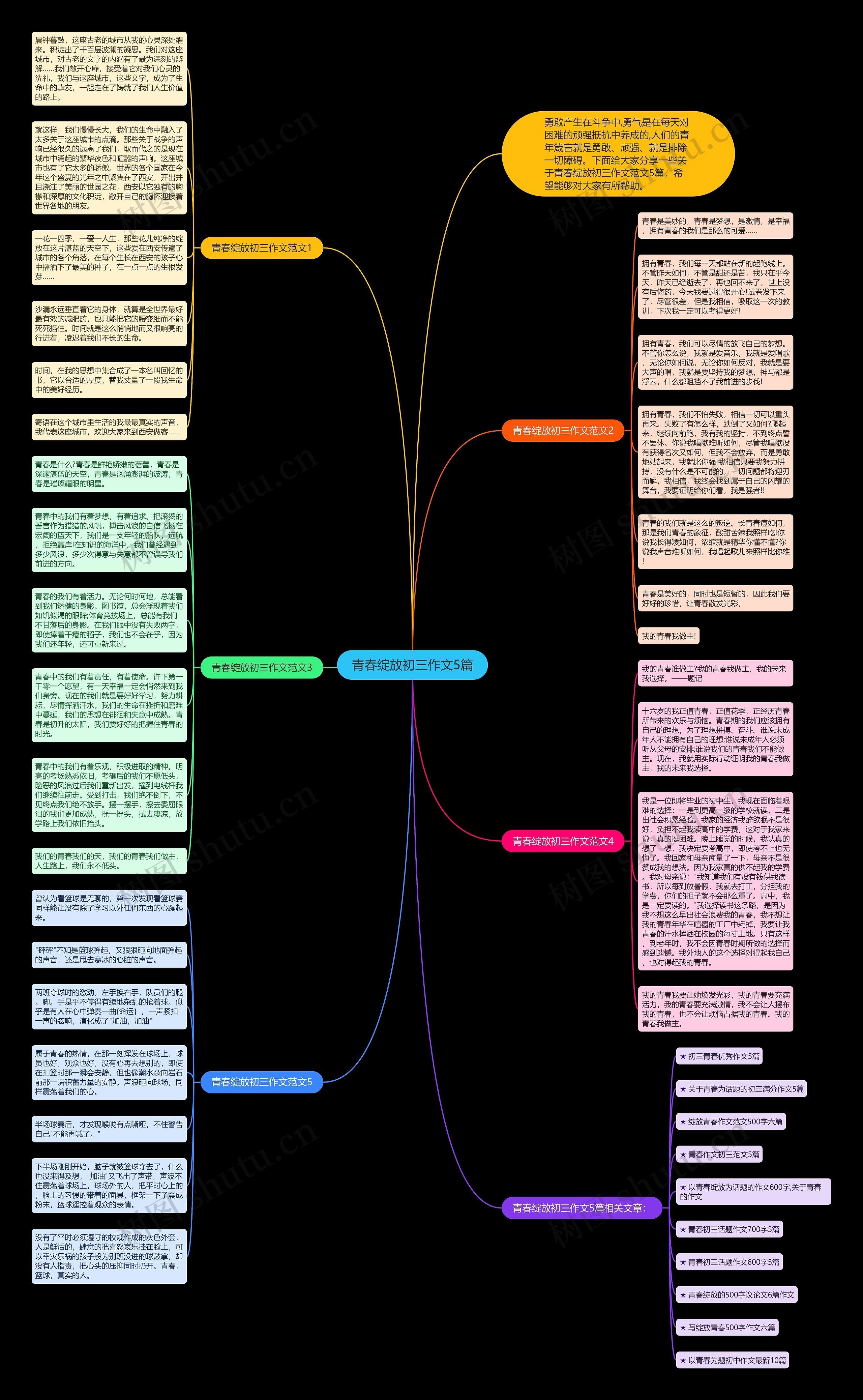 青春绽放初三作文5篇思维导图