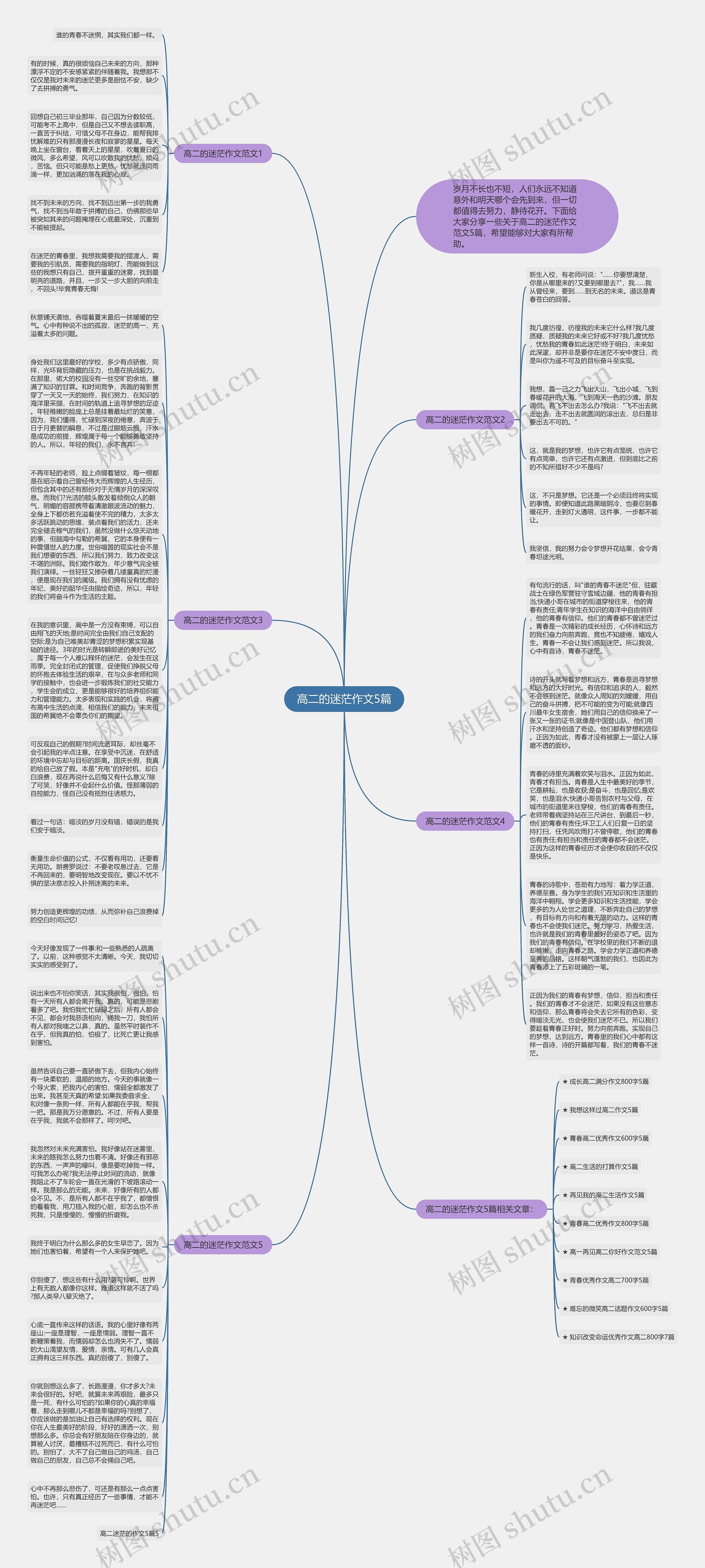 高二的迷茫作文5篇思维导图