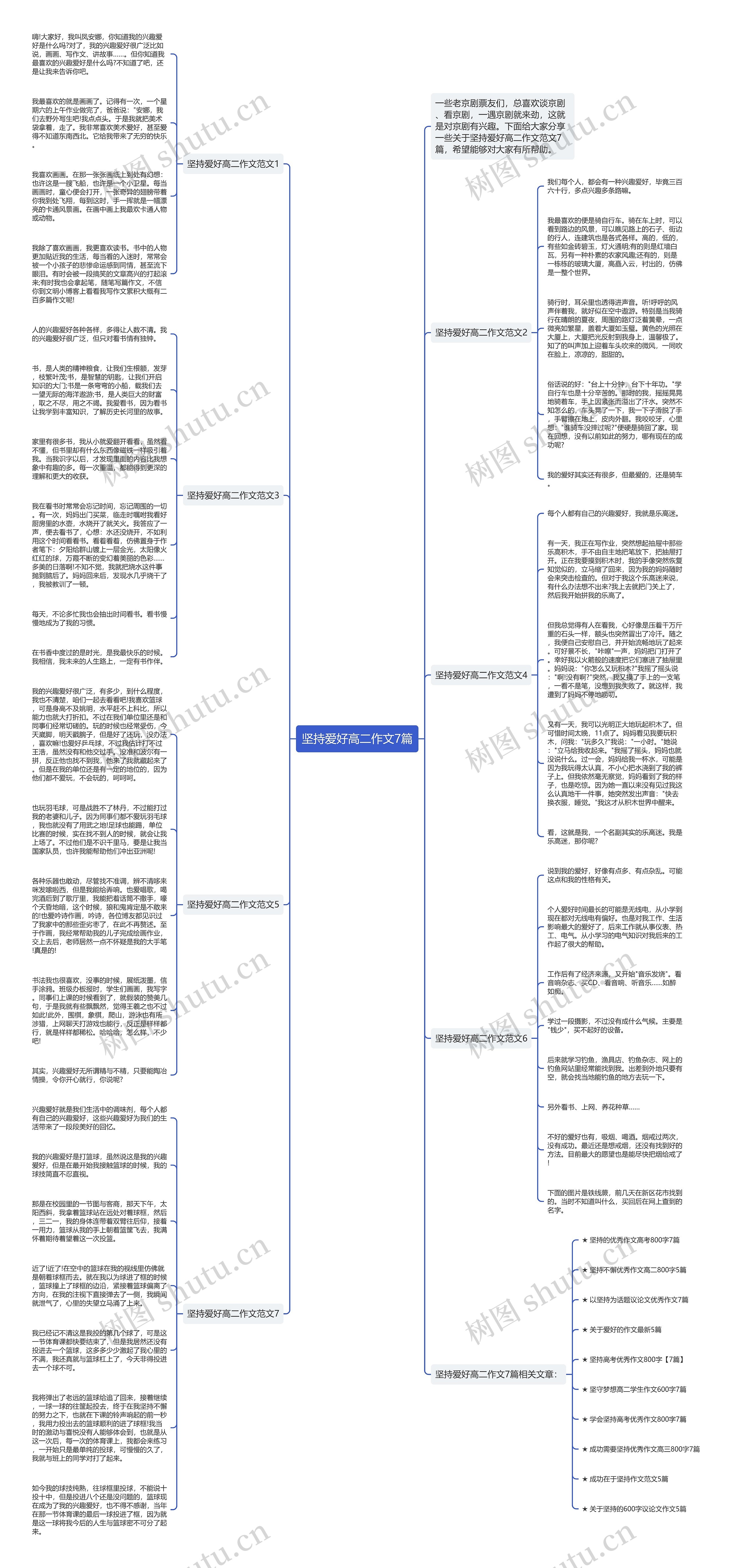 坚持爱好高二作文7篇思维导图