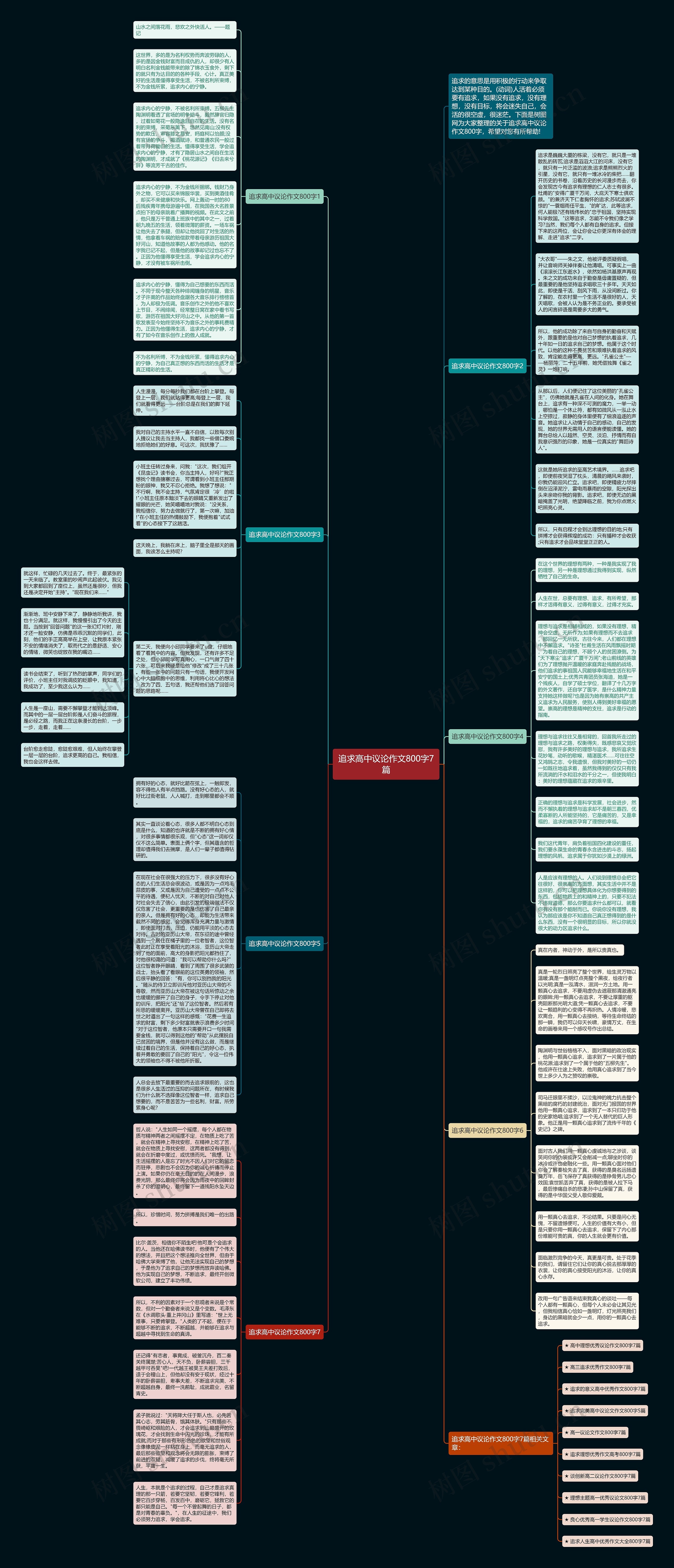 追求高中议论作文800字7篇思维导图