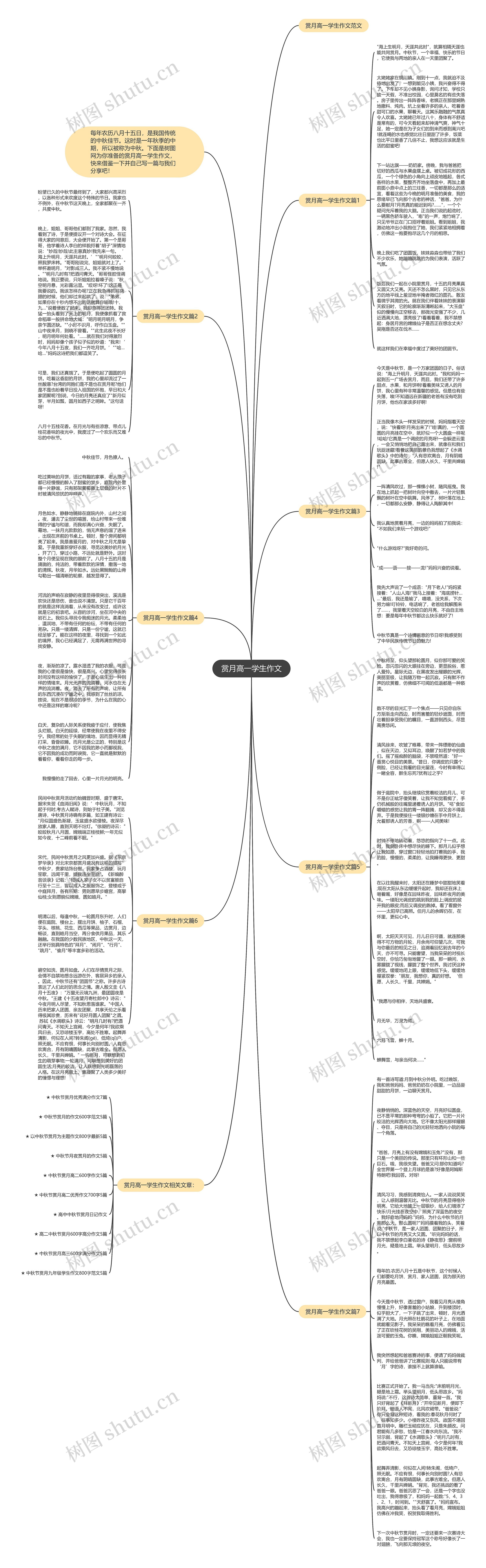 赏月高一学生作文思维导图