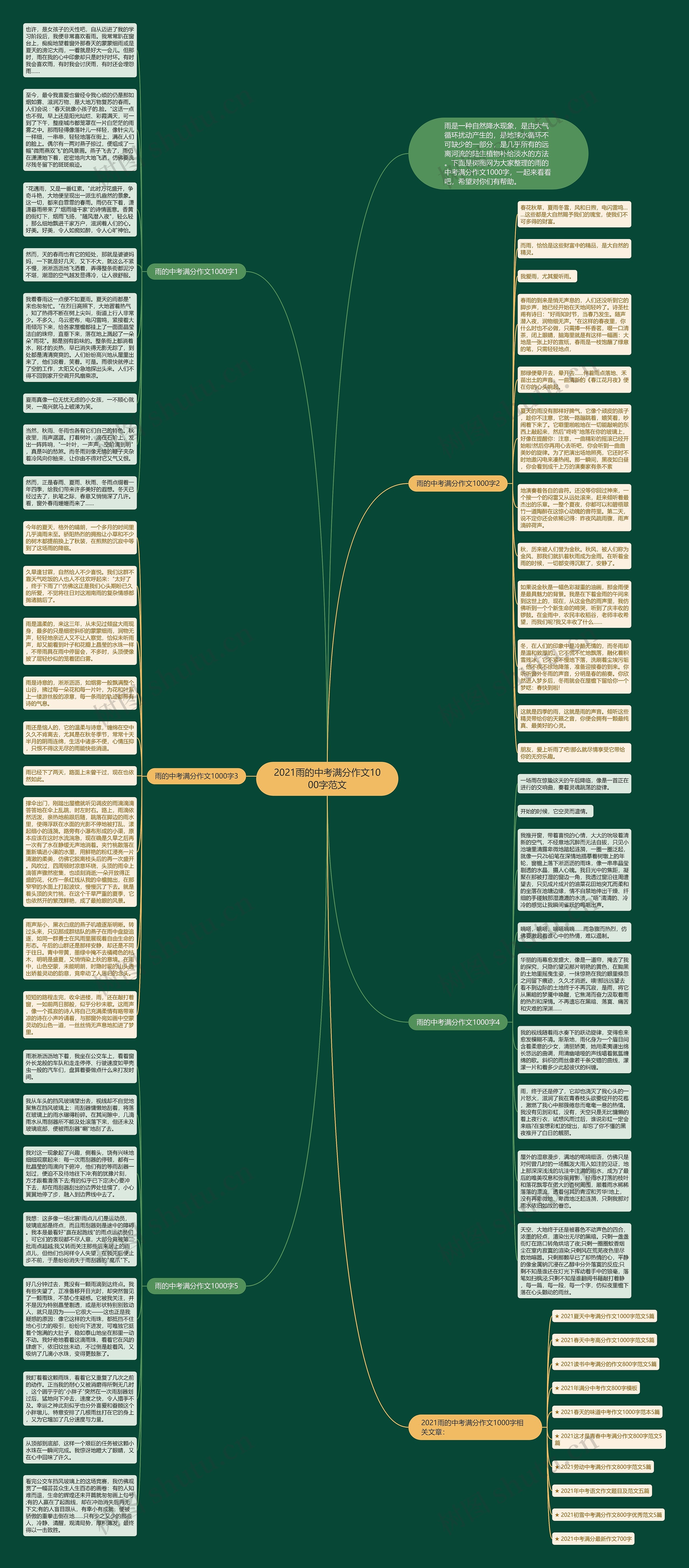 2021雨的中考满分作文1000字范文