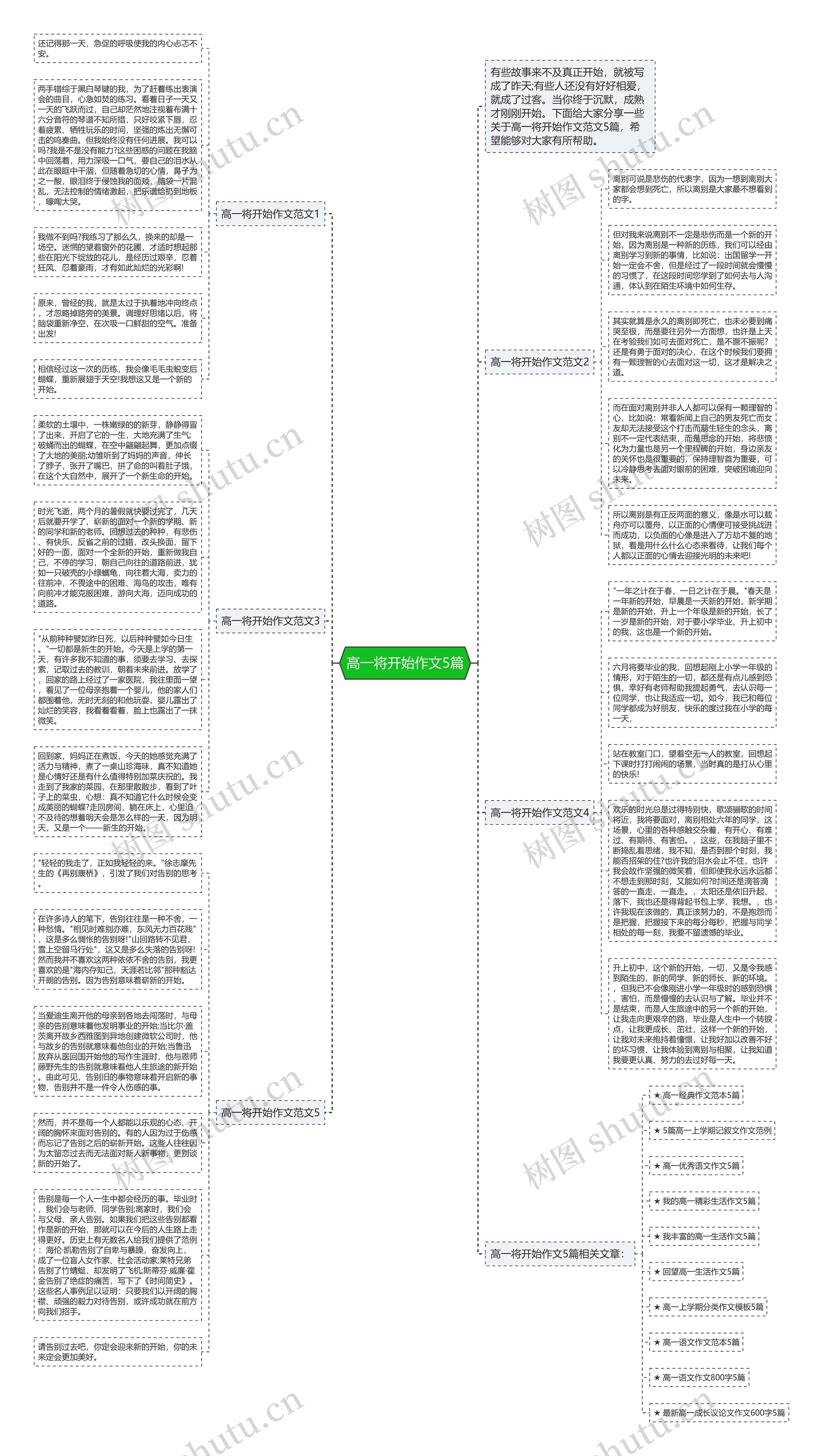 高一将开始作文5篇思维导图