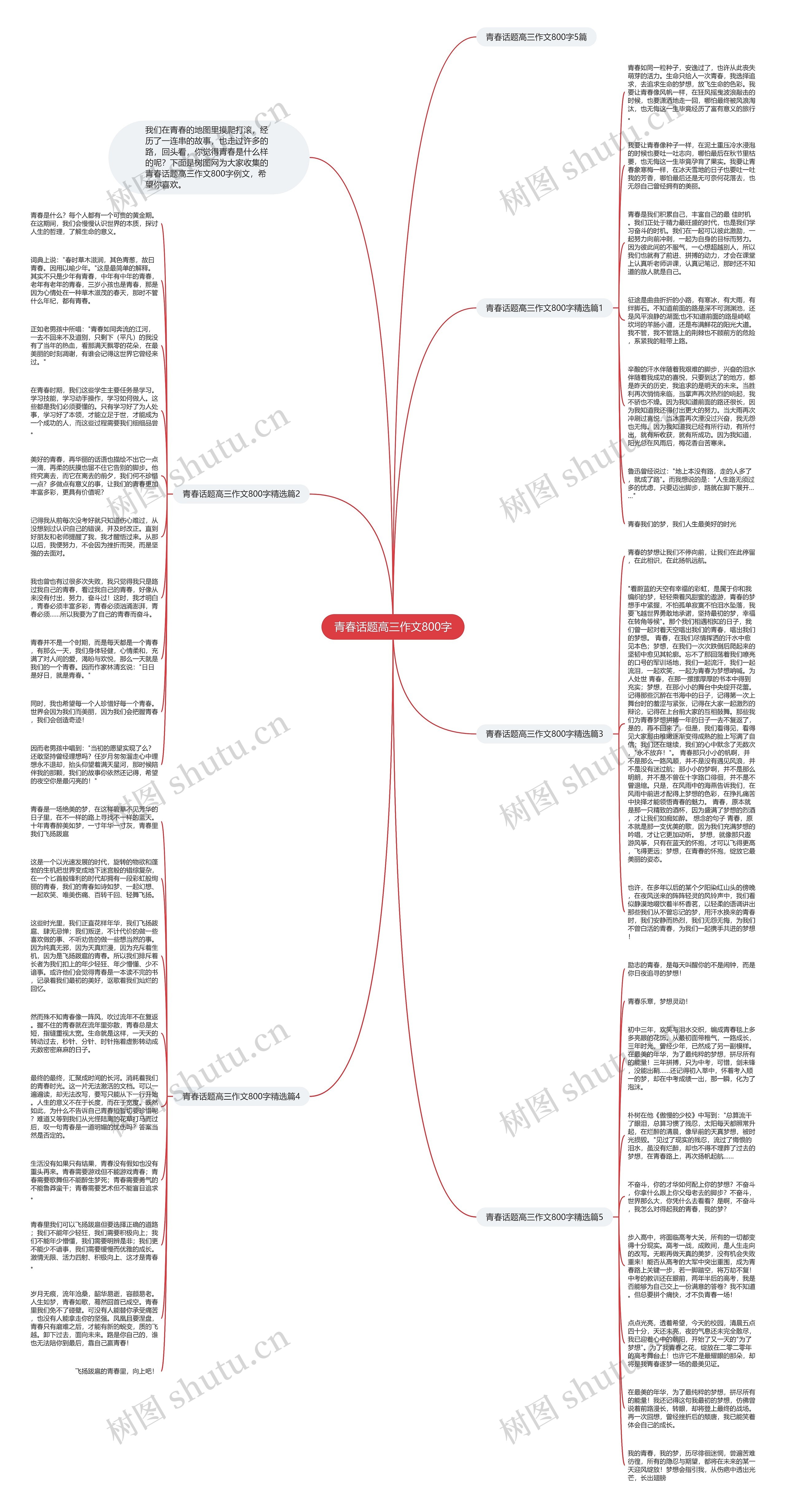 青春话题高三作文800字思维导图