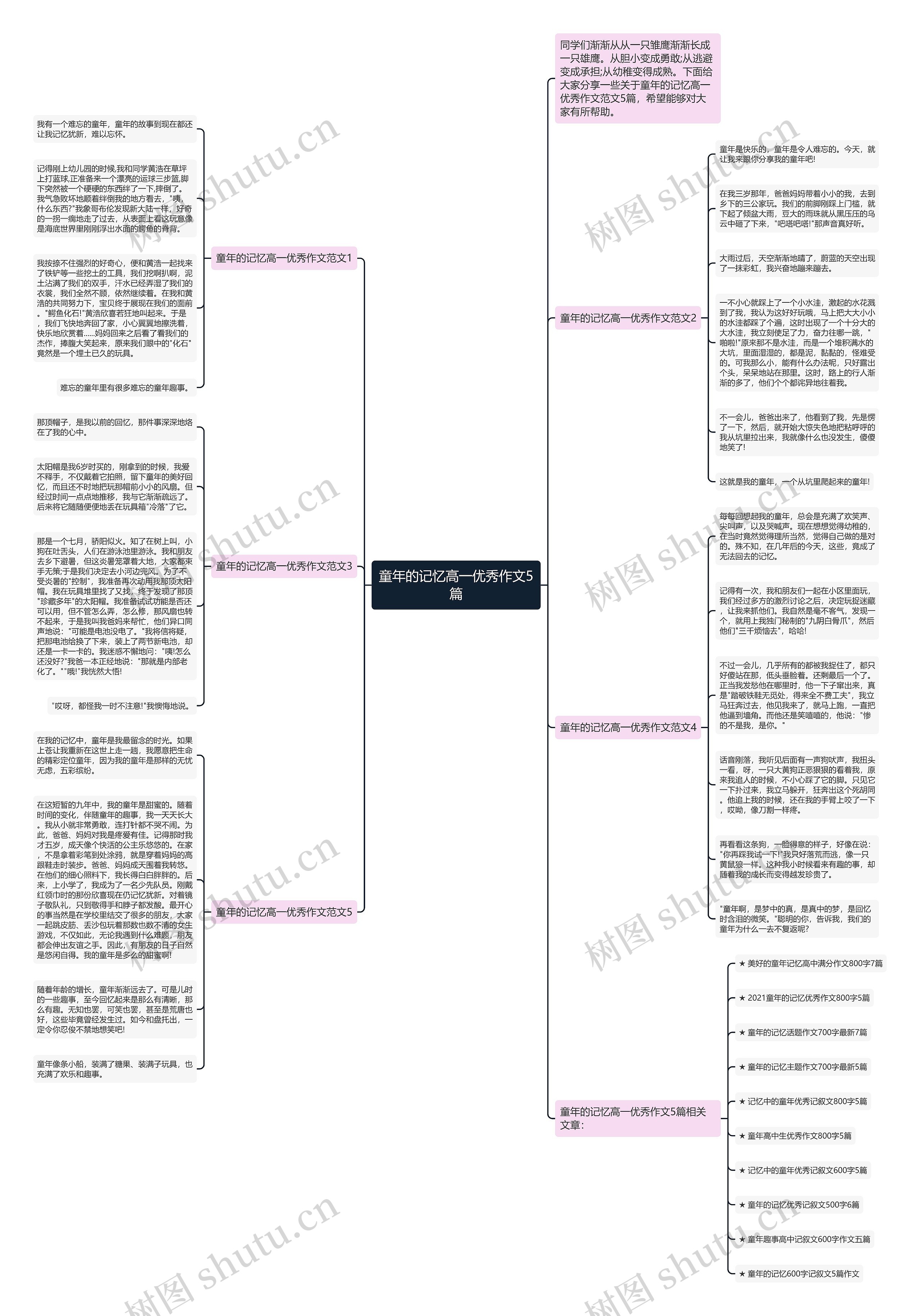 童年的记忆高一优秀作文5篇思维导图